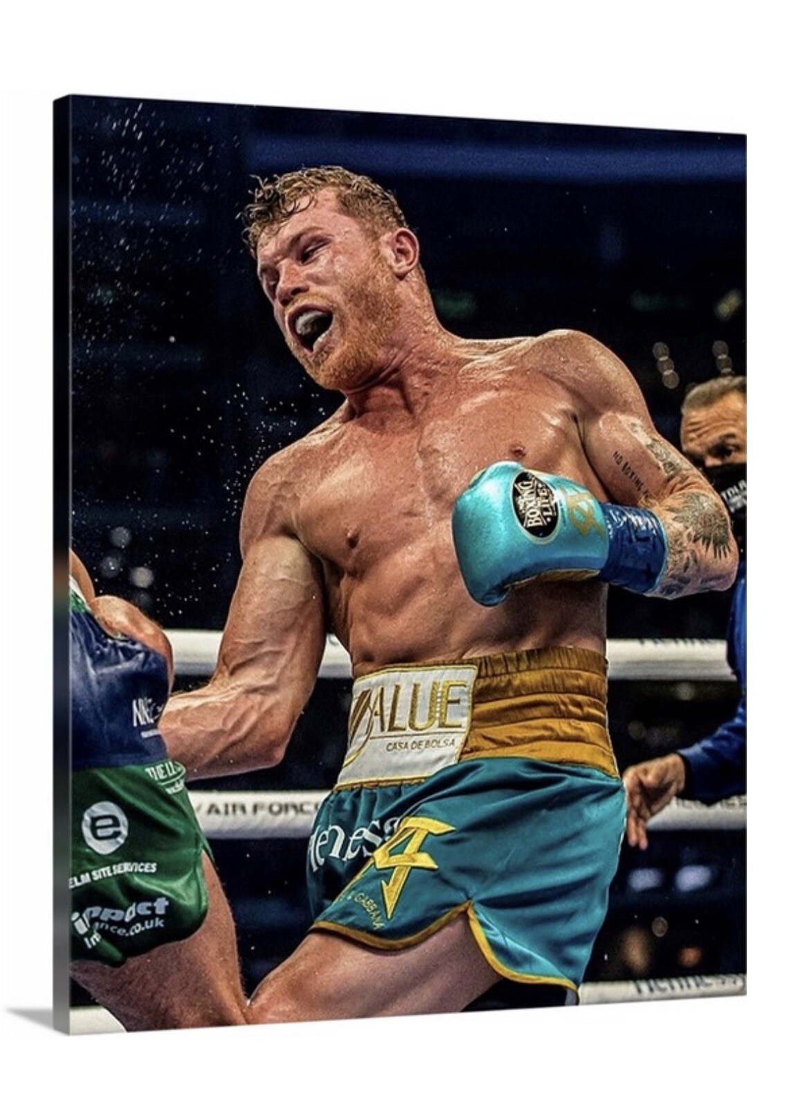 Canelo Alvarez Canvas 16X20 Boxing WallArt Decor Gym Goat Champ Mexico Bar WBC