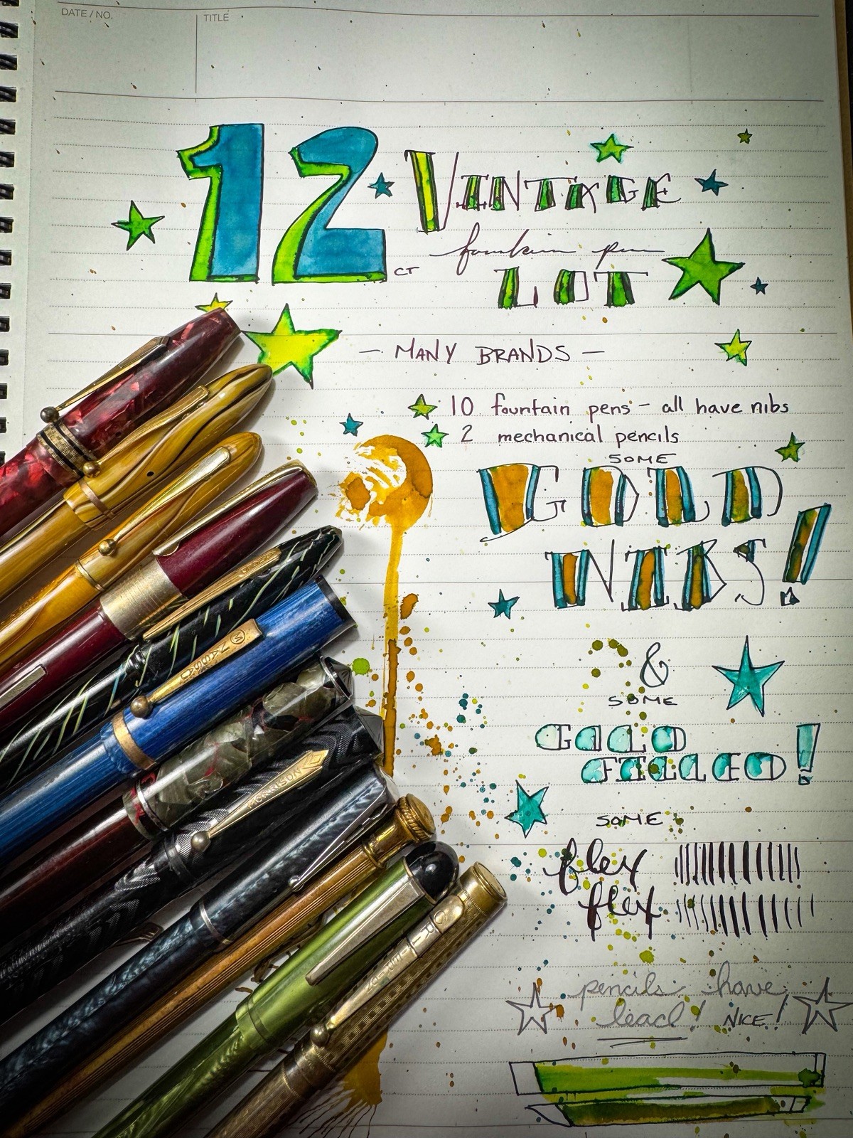 Vintage Fountain Pen Lot Of 12 - Gold Nibs/ Flex Nibs Vintage Fountain Pen Lot Of 12 - Gold Nibs/ Flex Nibs