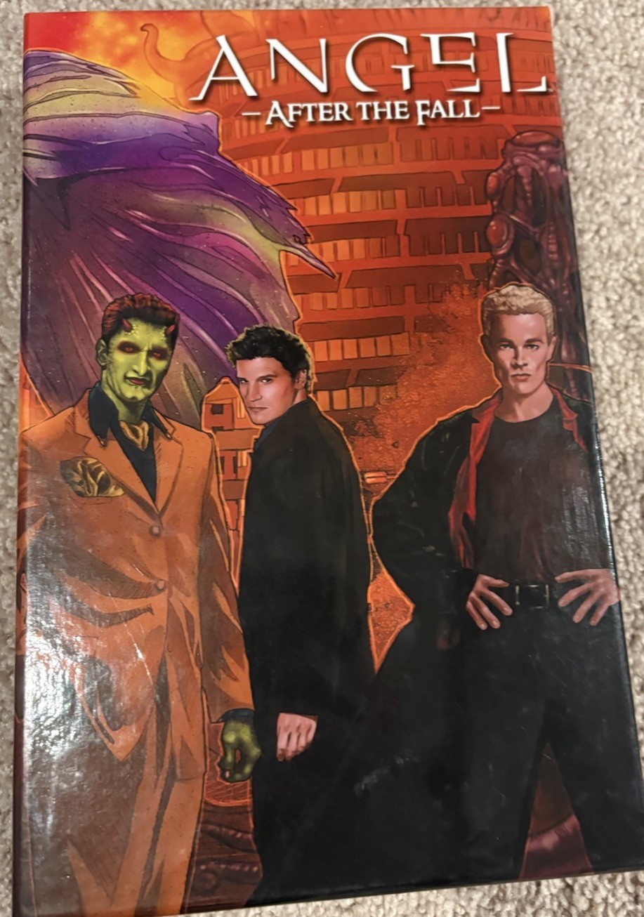 Angel After The Fall IDW TPB 1-4. Includes Very Rare Slipcase Angel After The Fall IDW TPB 1-4. Includes Very Rare Slipcase