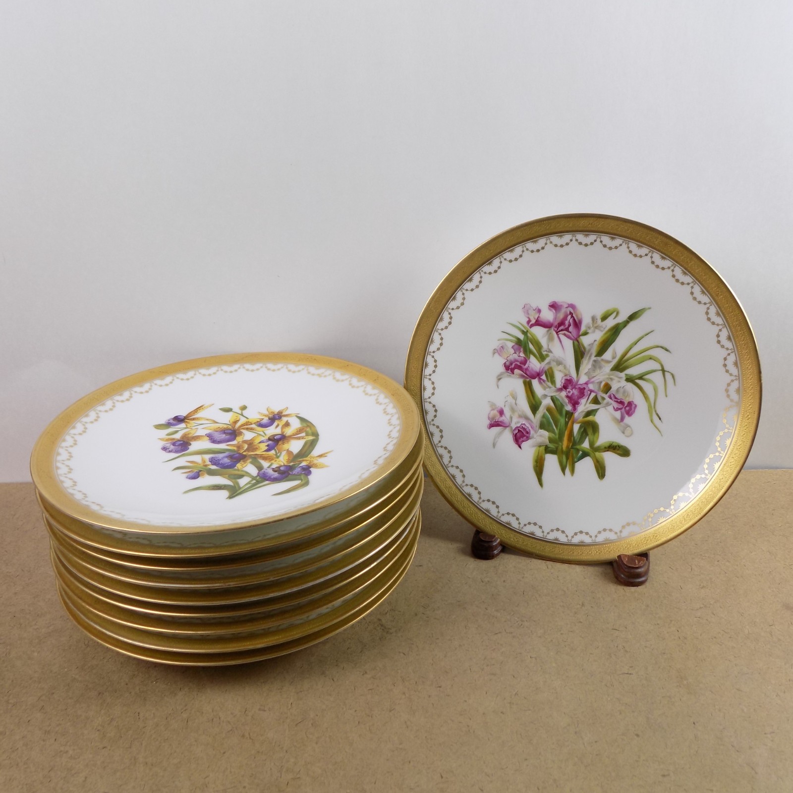 10 Antique T&V Limoges Hand Painted Botanical Plates Ovington Bros New York 10 Antique T&V Limoges Hand Painted Botanical Plates Ovington Bros New York