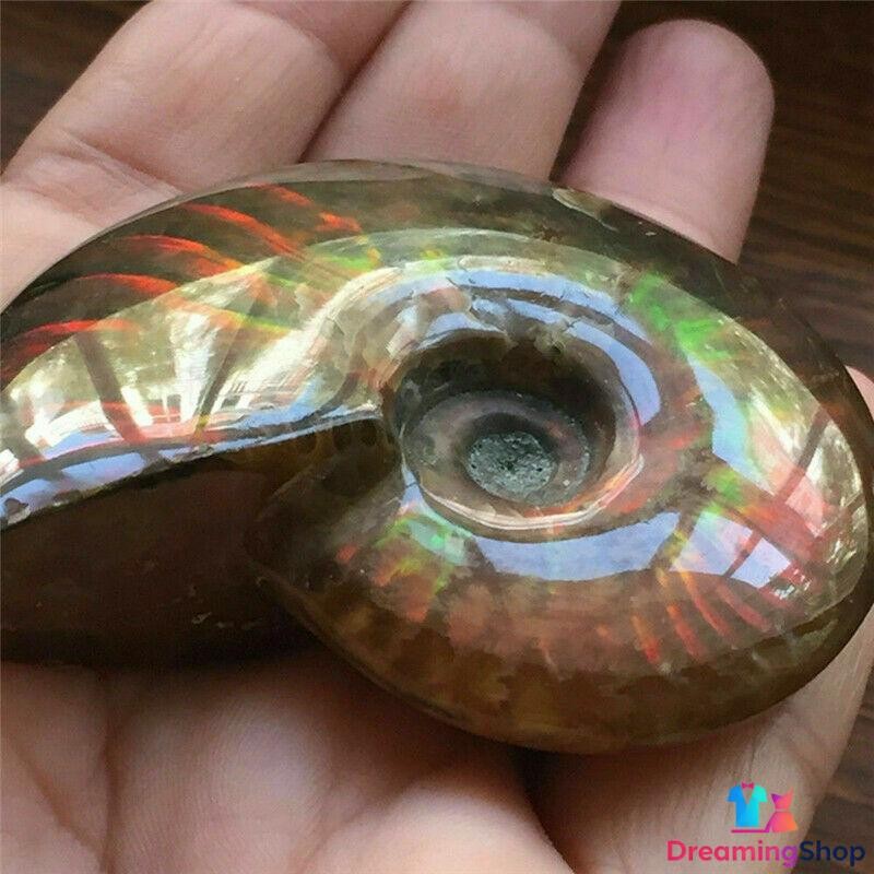 Natural Crystal Iridescent Ammonite Ammolite Facet Fossil Madagascar Gift 1.5in