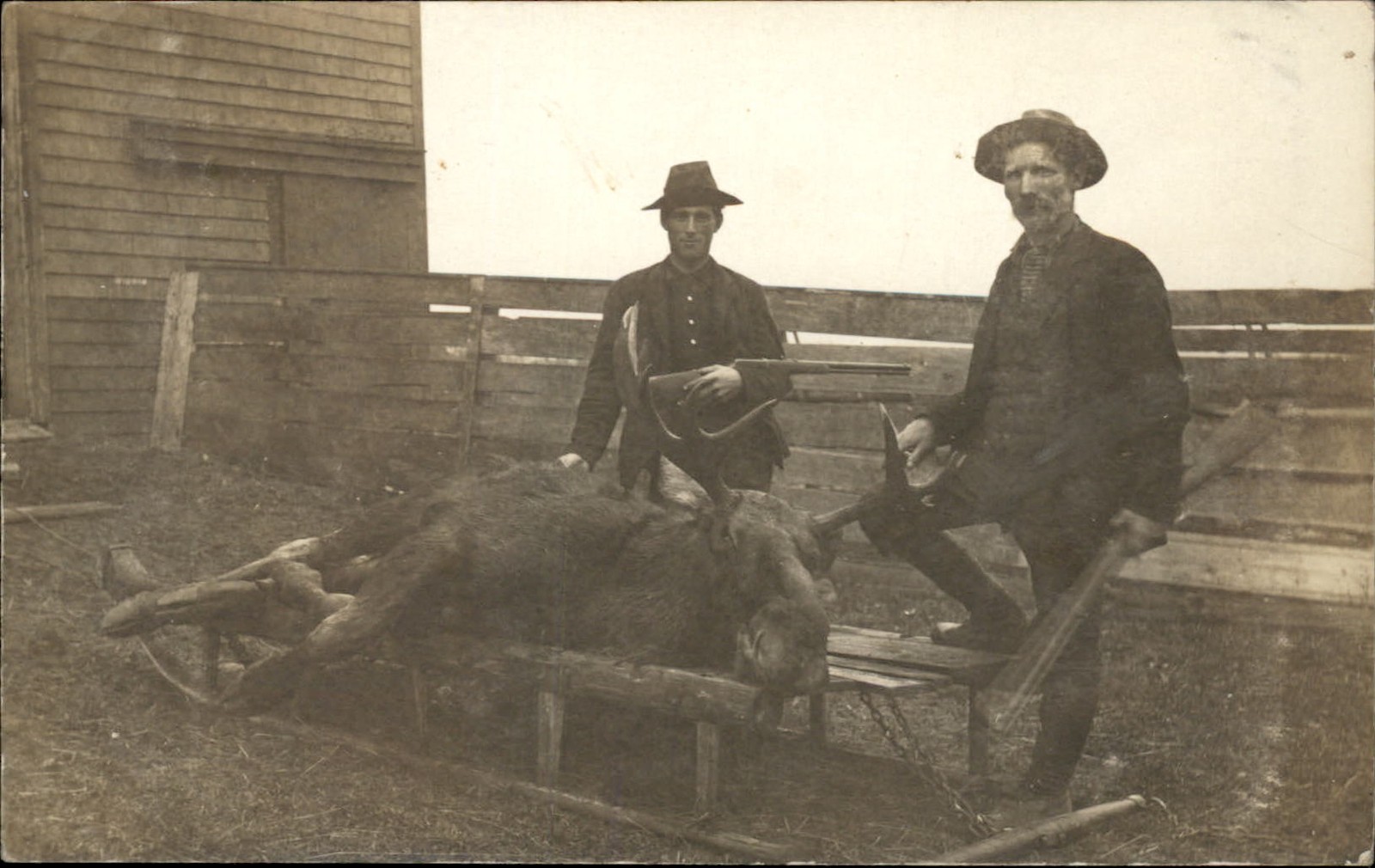 Hunters with Moose Guns c1900s-20s Real Photo Vintage Postcard bhn Hunters with Moose Guns c1900s-20s Real Photo Vintage Postcard bhn