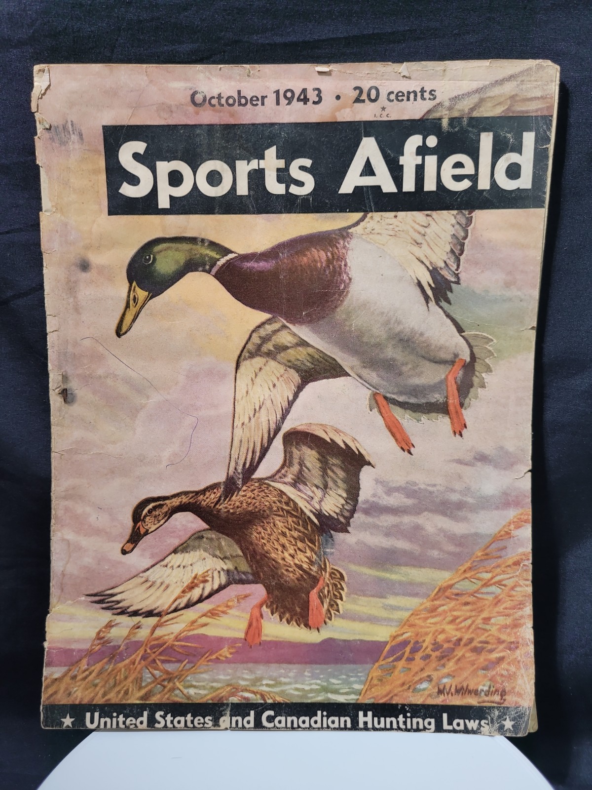 Sports Afield October 1943 - US and Canadian Hunting Laws / Moose in Canoe Count Sports Afield October 1943 - US and Canadian Hunting Laws / Moose in Canoe Count