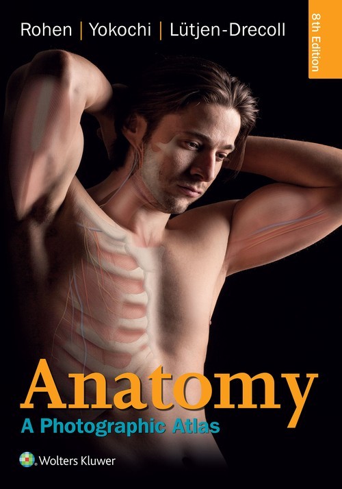 Anatomy: A Photographic Atlas, Johannes W Rohen Md