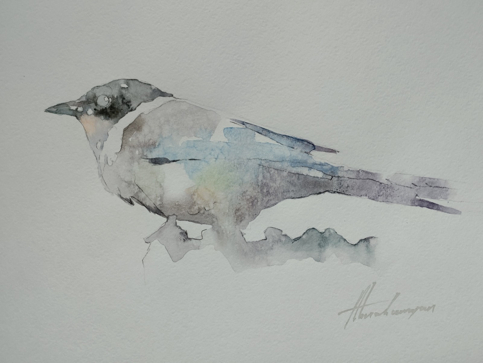 Magpie, Birds, Watercolor artwork, Handmade, Original painting on paper Magpie, Birds, Watercolor artwork, Handmade, Original painting on paper