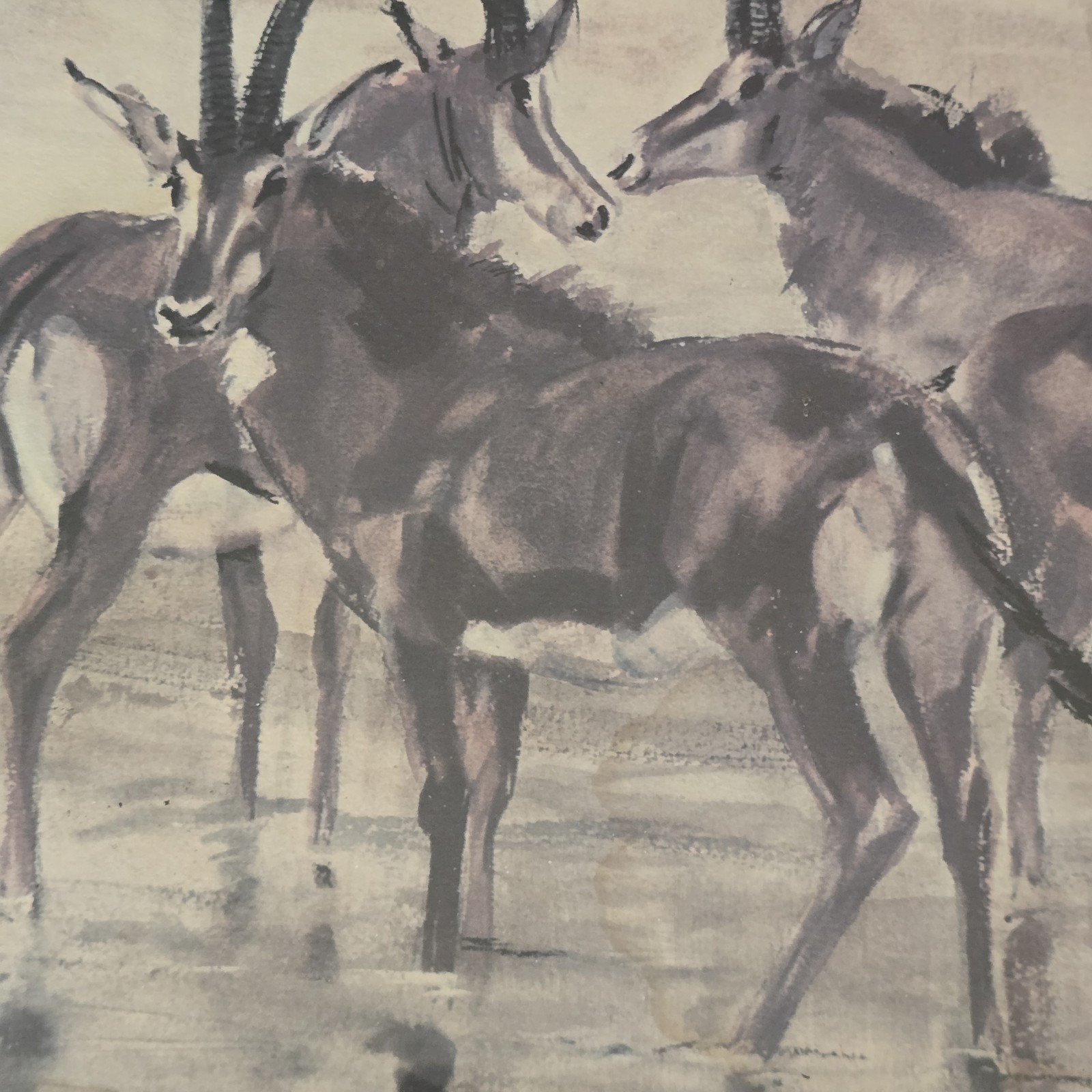 Vintage Mid Century Simon Hodge African Sable Antelope Framed Print Retro 1960s