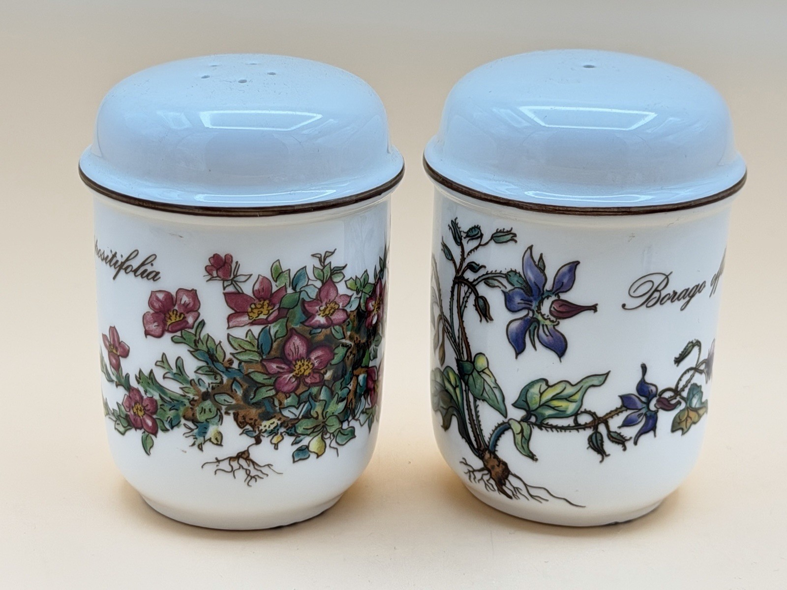Villeroy & Boch Retired Botanical Salt & Pepper Set