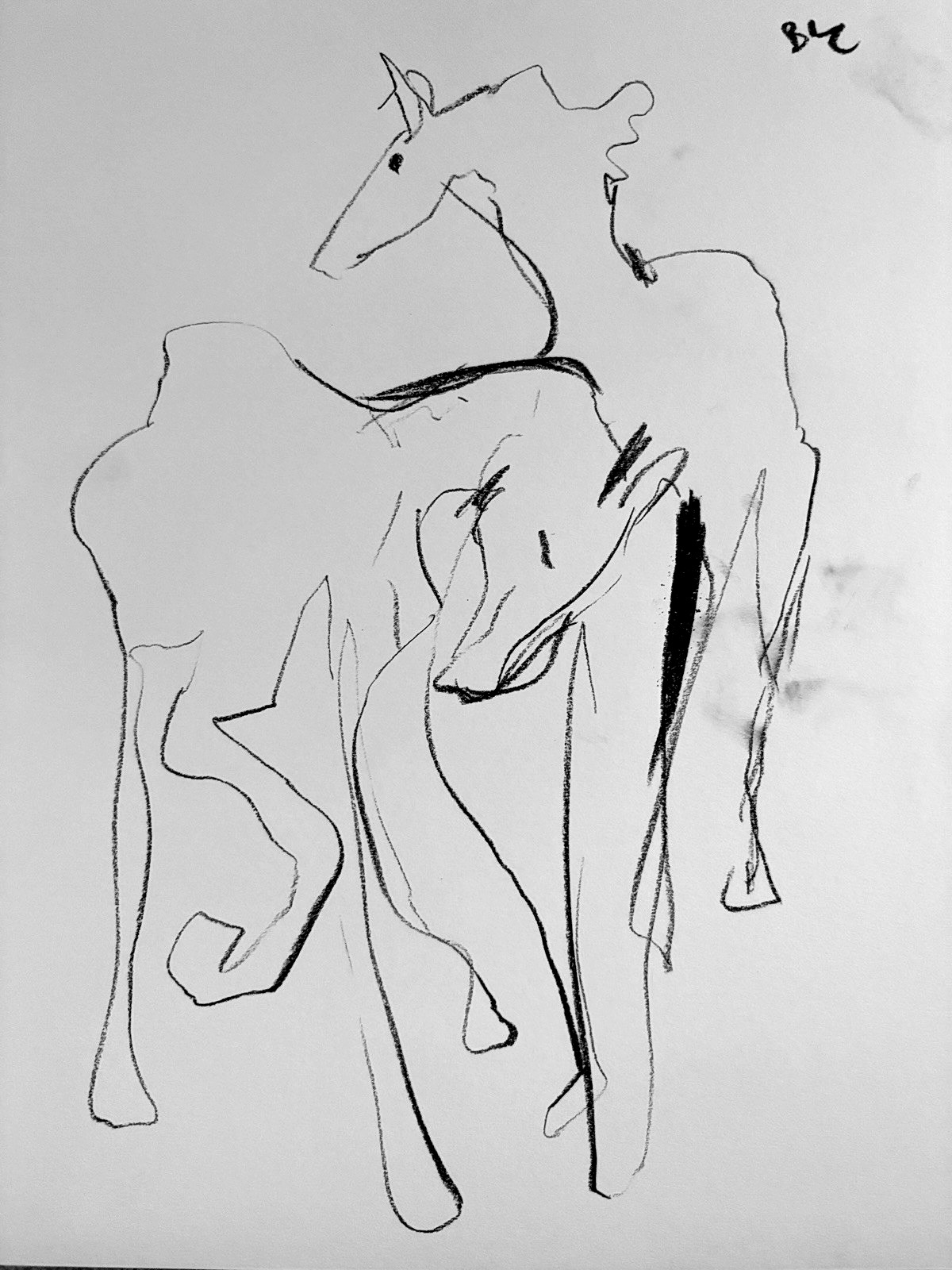 Horses Abstract Cubist Charcoal Drawing On Paper 11”x14” Original Signed Horses Abstract Cubist Charcoal Drawing On Paper 11”x14” Original Signed