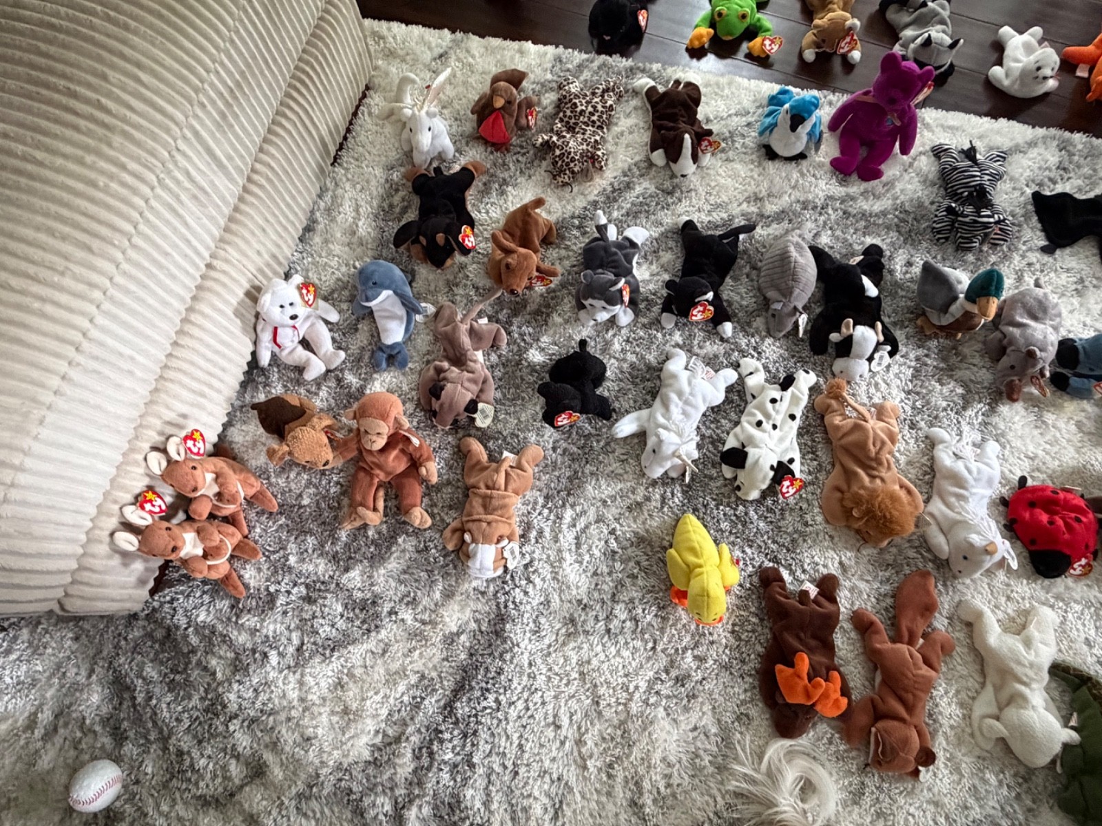 beanie babies rare beanie babies rare