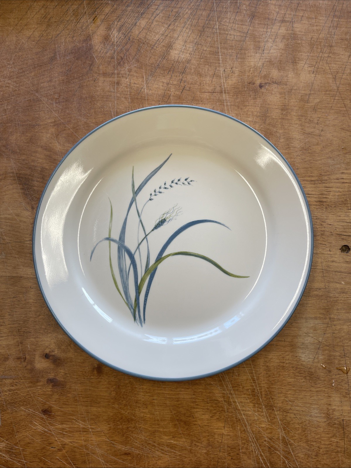 Corelle COASTAL BREEZE Dinner Plate 10 1/4\ Corelle COASTAL BREEZE Dinner Plate 10 1/4\