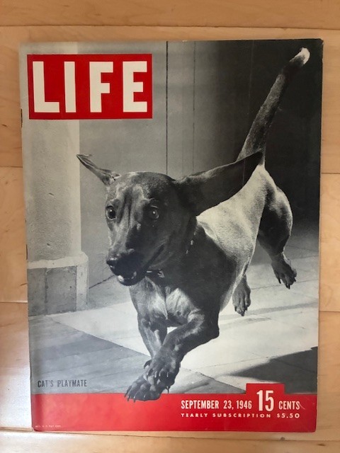 VTG. LIFE MAGAZINE Sept 23 , 1946 CATS PLAYMATE VTG. LIFE MAGAZINE Sept 23 , 1946 CATS PLAYMATE