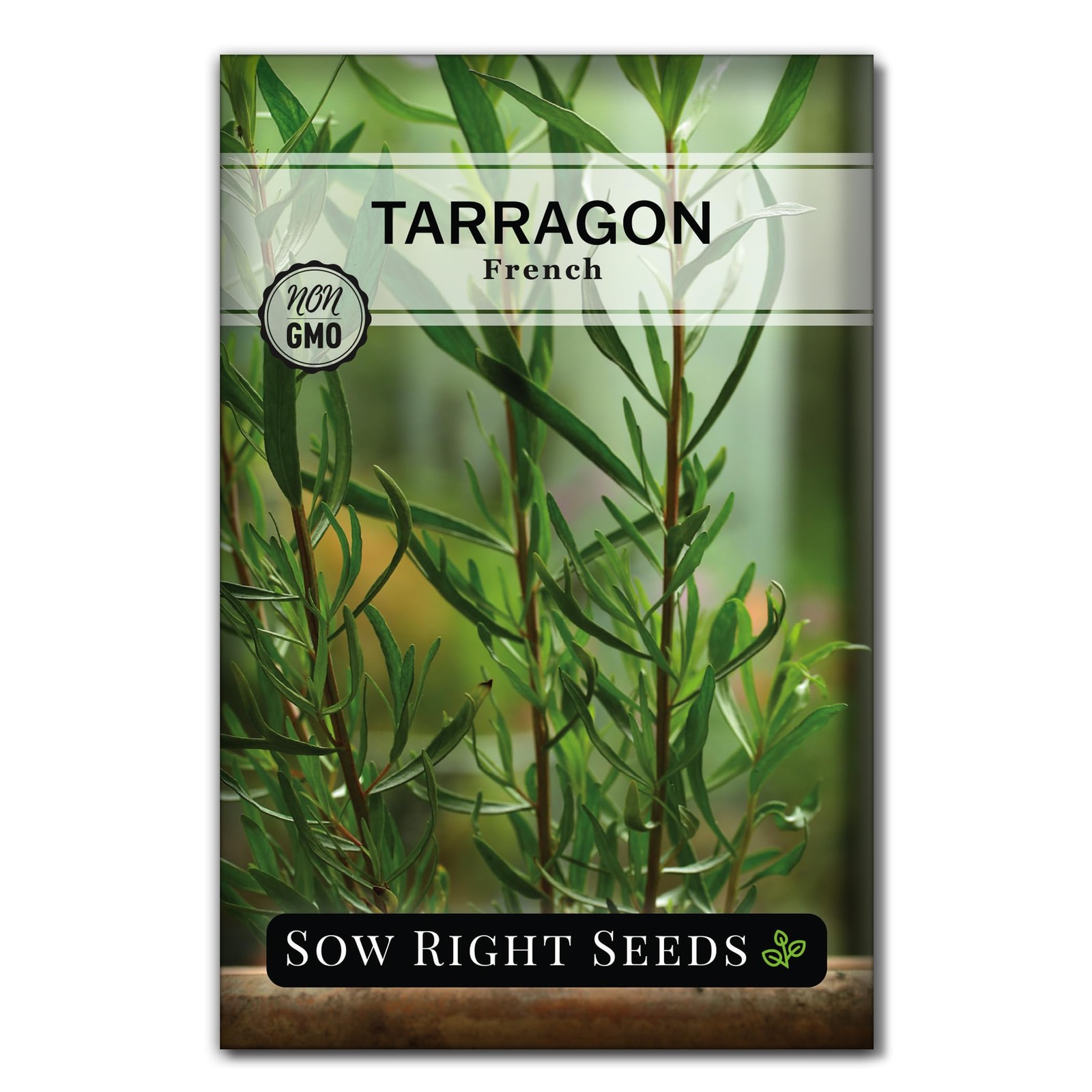 Sow Right Seeds - French Tarragon for Planting - Non-GMO Heirloom green Sow Right Seeds - French Tarragon for Planting - Non-GMO Heirloom green