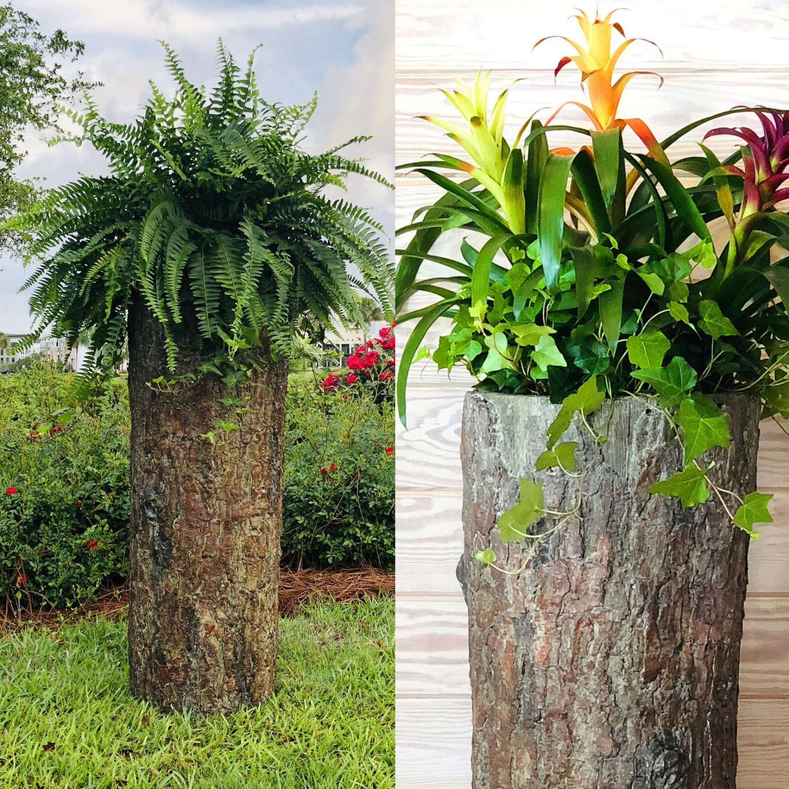 Bushy Box 🌳 Large Hollow Log Planter. Outdoor Garden, Well and Cable Box Cover Bushy Box 🌳 Large Hollow Log Planter. Outdoor Garden, Well and Cable Box Cover