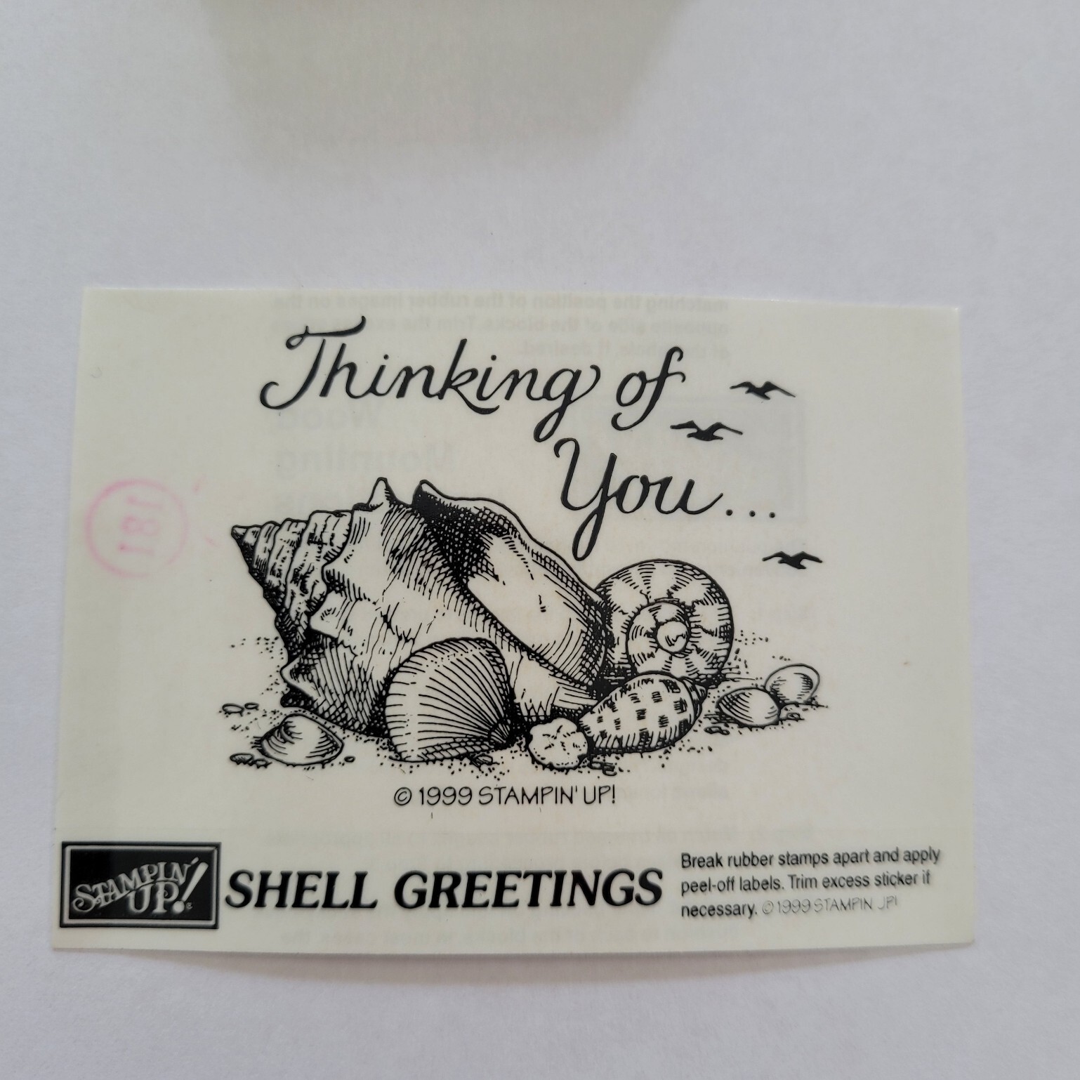 Shell Greetings Mounted Rubber Stamp 1999 Stampin Up Thinking of You Shell Greetings Mounted Rubber Stamp 1999 Stampin Up Thinking of You