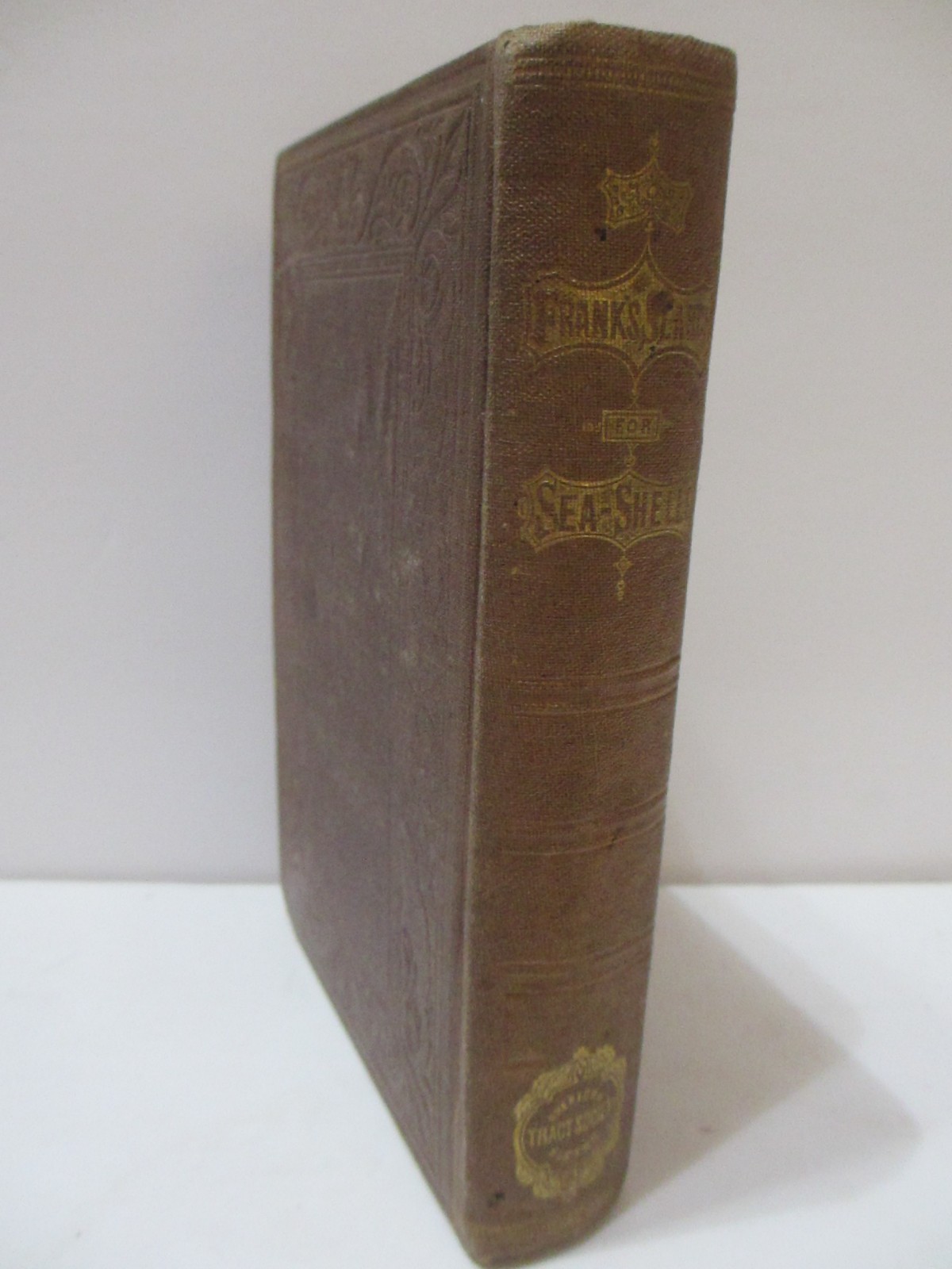 RARE 1866 ANTIQUE BOOK SEA SHELLS FRANK'S SEARCH FOR CONCHOLOGY STUDY ENG PLATES