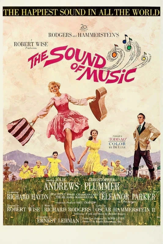 1965 THE SOUND OF MUSIC VINTAGE MOVIE POSTER 24 X 36 INCH Looks GREAT