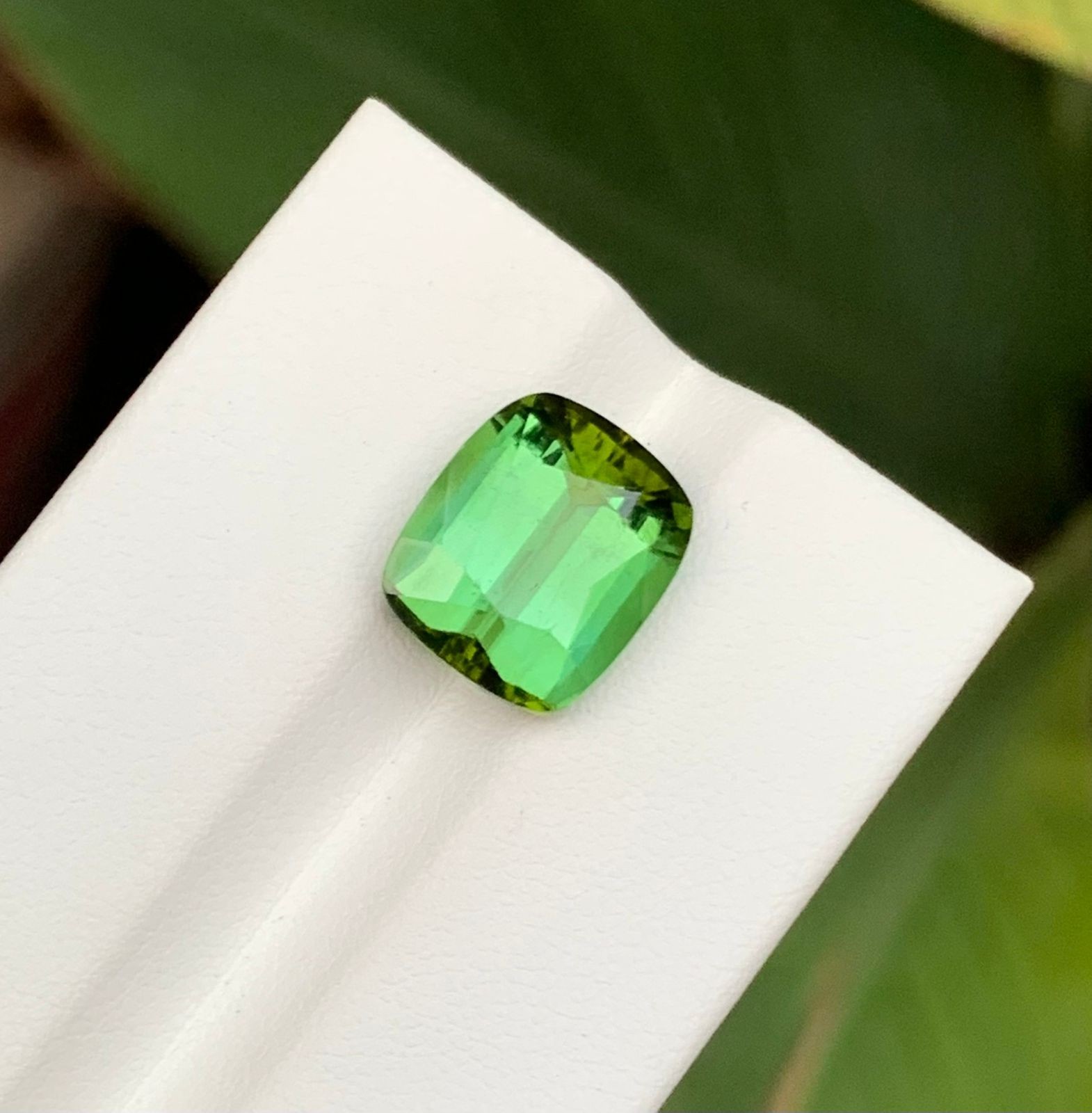 6.55 Ct Natural Yellowish Green Tourmaline Cushion Cut Gemstone Afghanistan
