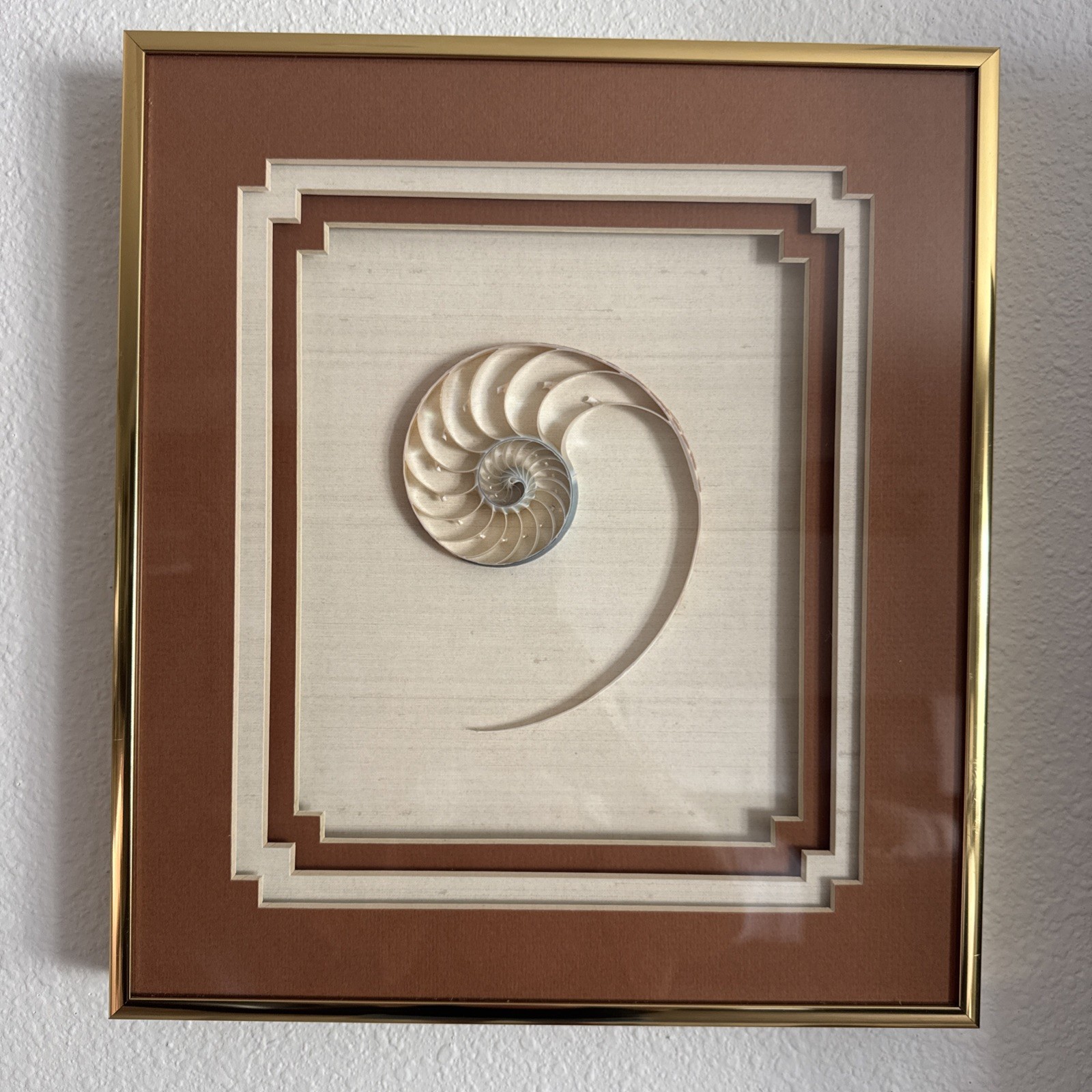 RARE Vintage Nautilus Sliced Seashell in Custom Gold Framed & Matted 13”x12” Art RARE Vintage Nautilus Sliced Seashell in Custom Gold Framed & Matted 13”x12” Art