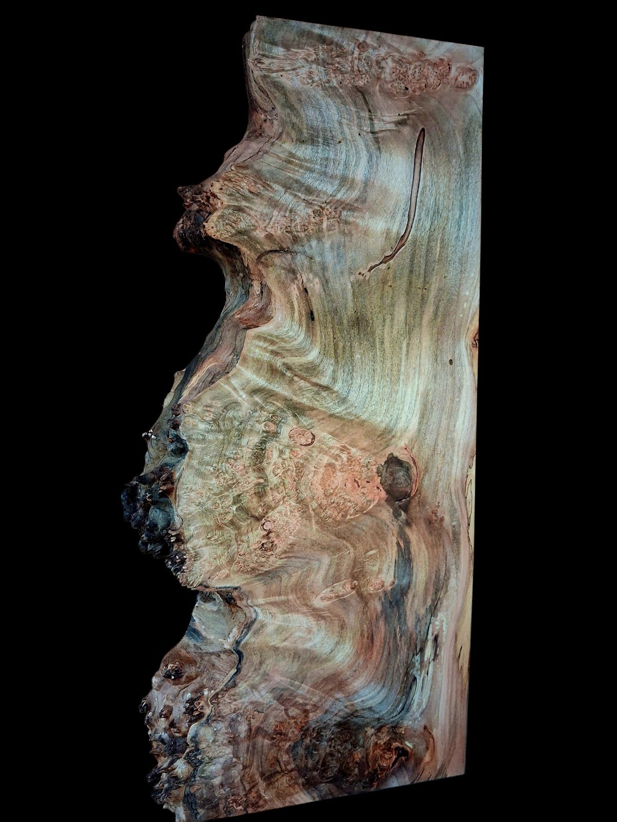 XL MIND BLOWING Birdseye MAPLE  BURL Wood Blank, Charcuterie Blank Spalted Maple
