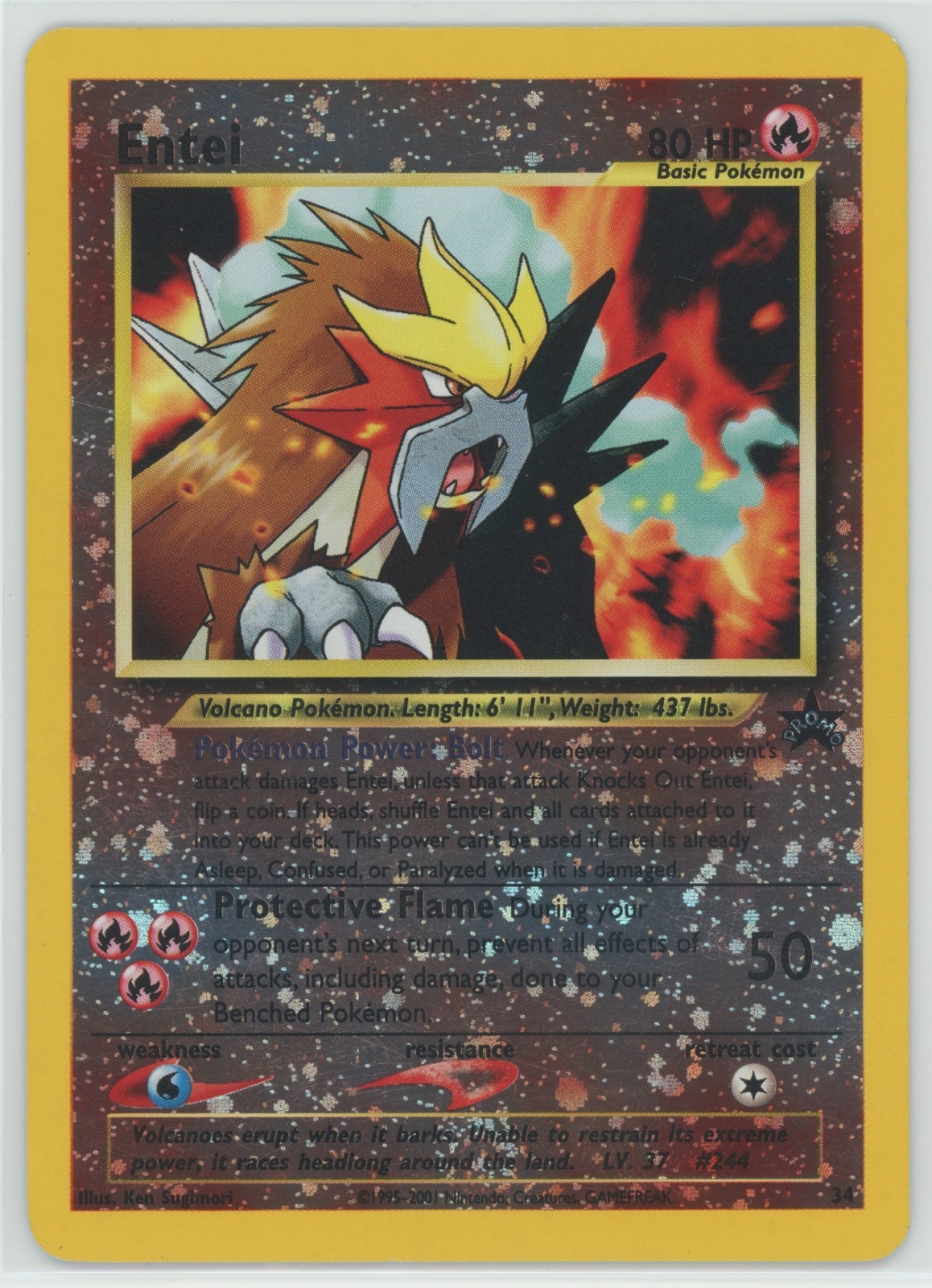 Pokémon TCG Entei Wizards Black Star Promos 34 Holo Promo Promo LP