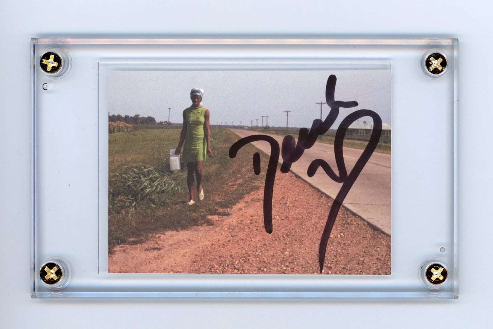 Derek Trucks Band Autographed Trading Card Sized Signed Cut ACOA