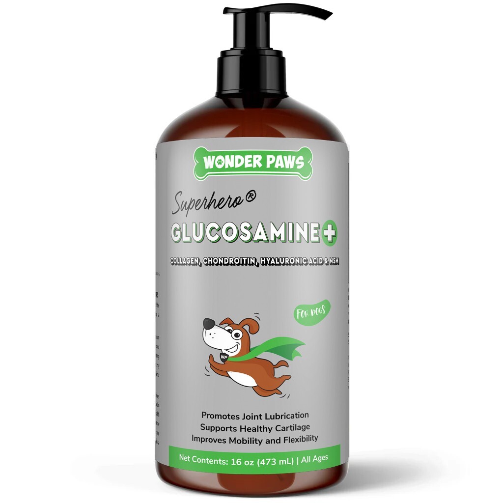 Premium Liquid Glucosamine for Dogs – All Ages (16 oz) Premium Liquid Glucosamine for Dogs – All Ages (16 oz)