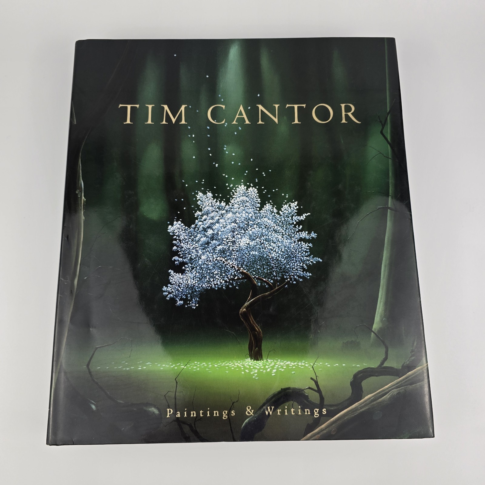 Tim Cantor: Paintings and Writings, Book II, 2012 Hardcover Tim Cantor: Paintings and Writings, Book II, 2012 Hardcover