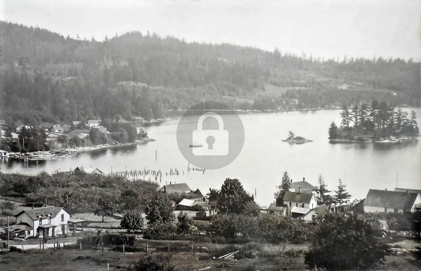 Lake Whatcom Bellingham WA Washington Houses & Island RPPC Photo Postcard COPY Lake Whatcom Bellingham WA Washington Houses & Island RPPC Photo Postcard COPY