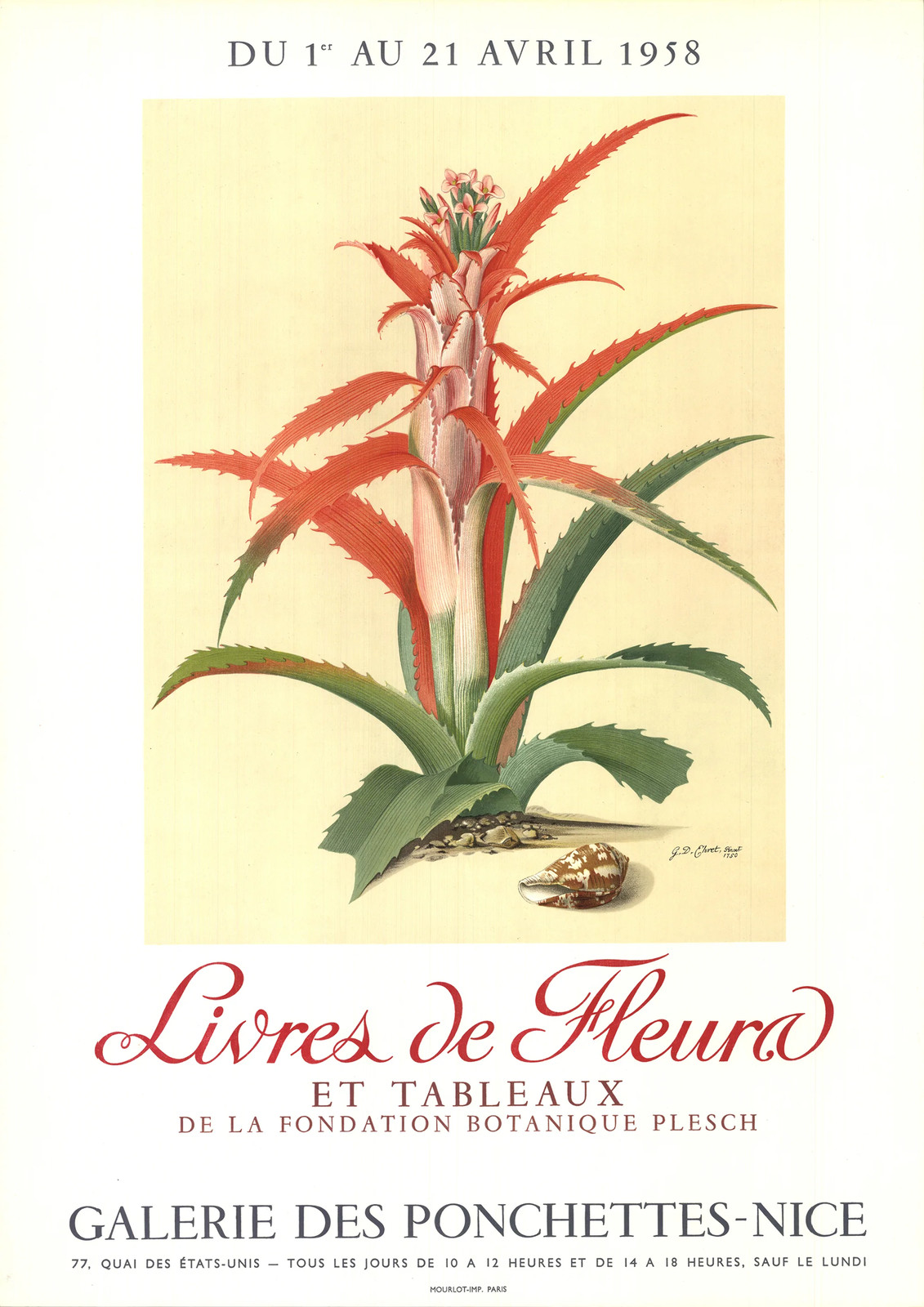 GEORG DIONYSIUS EHRET Flower Books and Paintings from the Plesch Botanical Found
