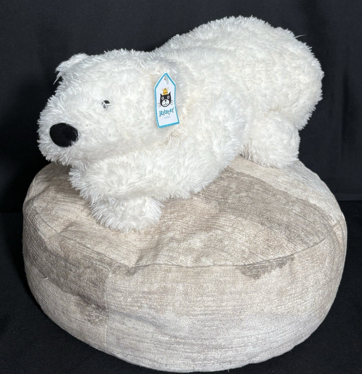 Rare 100% Authetic Jellycat Nozzy Polar Bear with tag 20 Rare 100% Authetic Jellycat Nozzy Polar Bear with tag 20