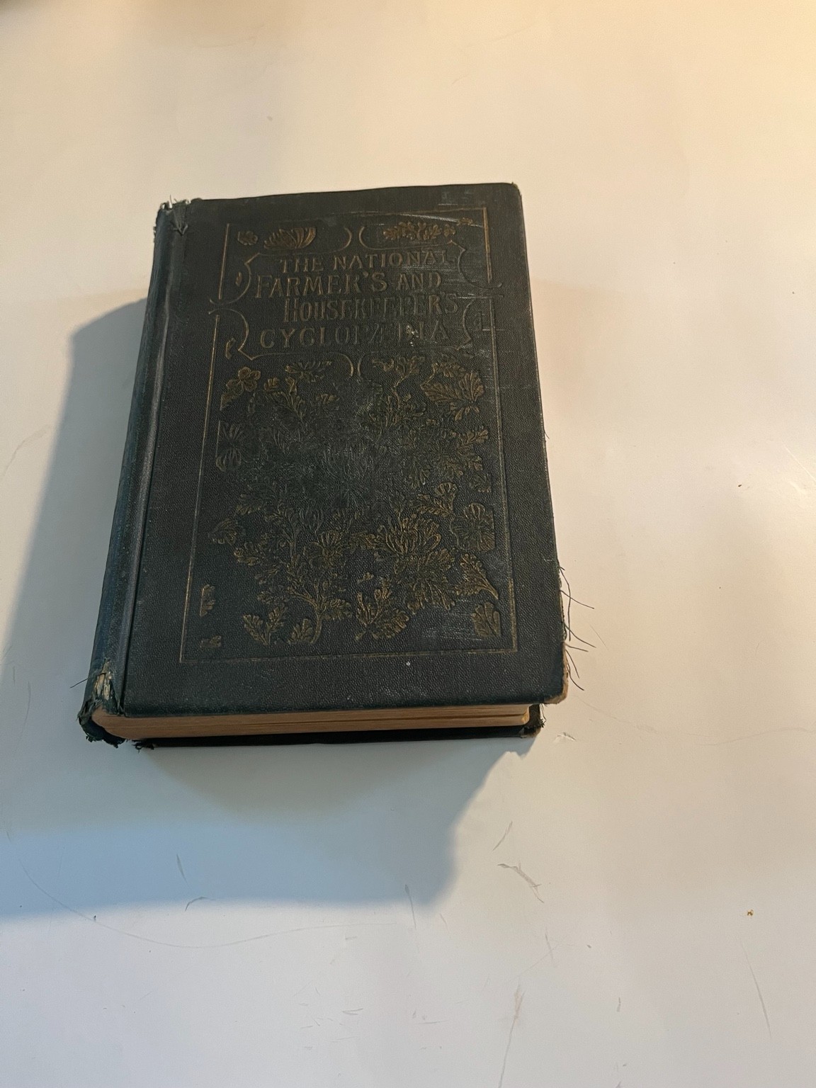 1888 The National Farmer’s and Housekeeper’s Cyclopaedia — F.M. Lupton