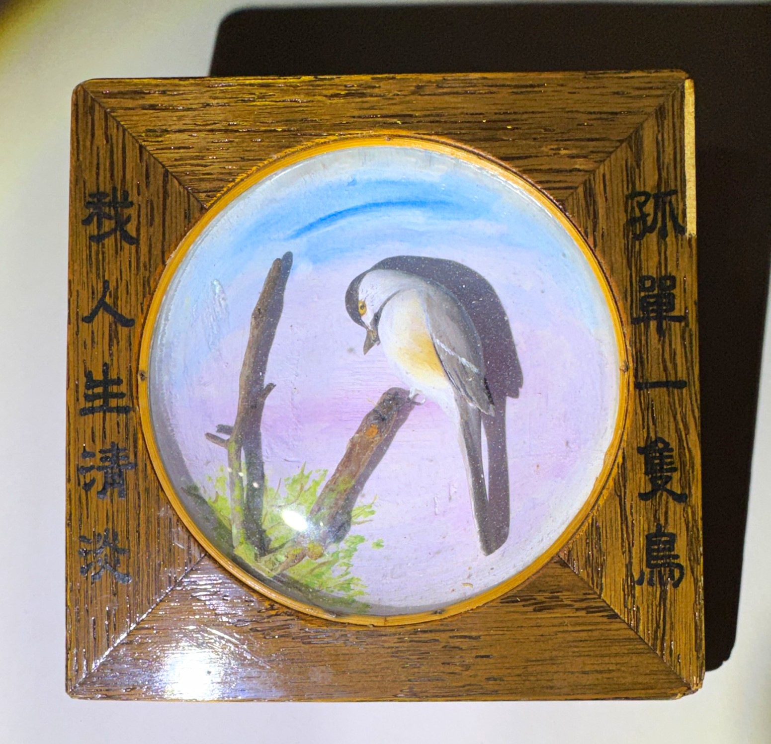 MCM Arthur Peltier Hand Carved Painted Chickadee Bird Diorama Convex Bubble Glas