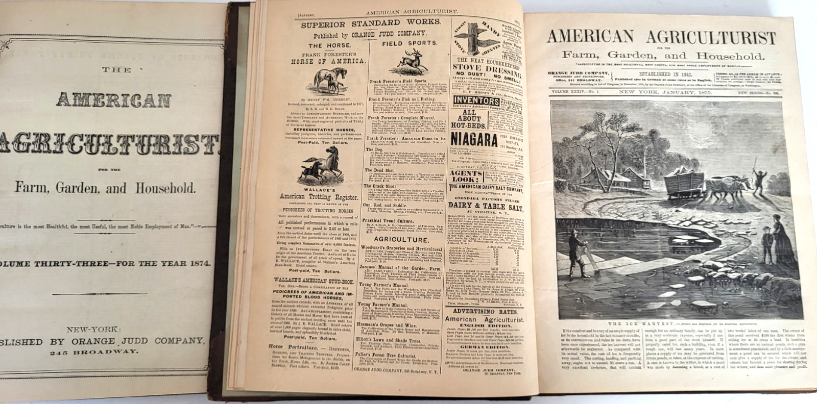 THE AMERICAN AGRICULTURIST 1874 & 1875 BOUND VOLS For FARM GARDEN & HOUSEHOLD