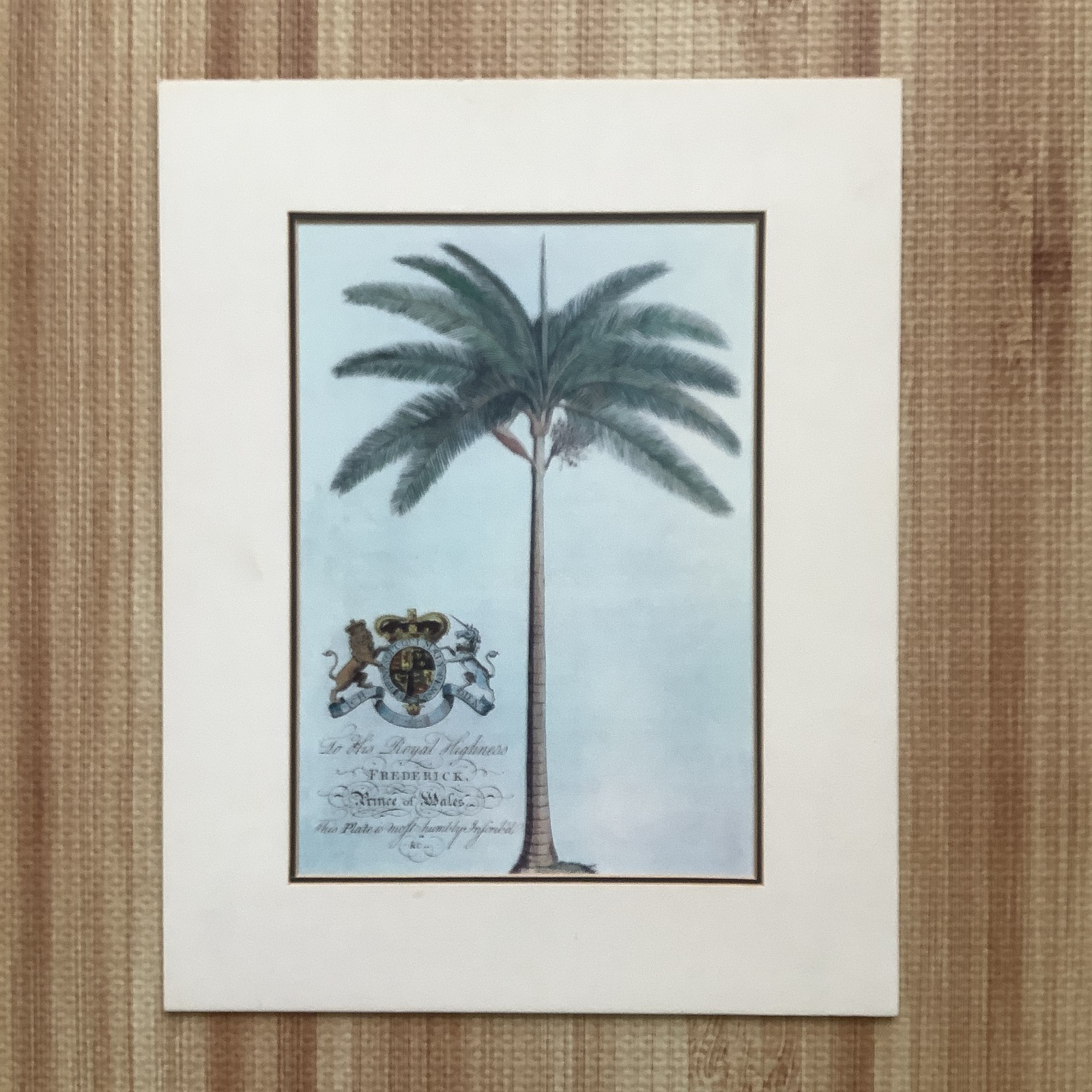 Botanical Palm Georg Dionysius Ehret, Wall Decor Art Print,  14\