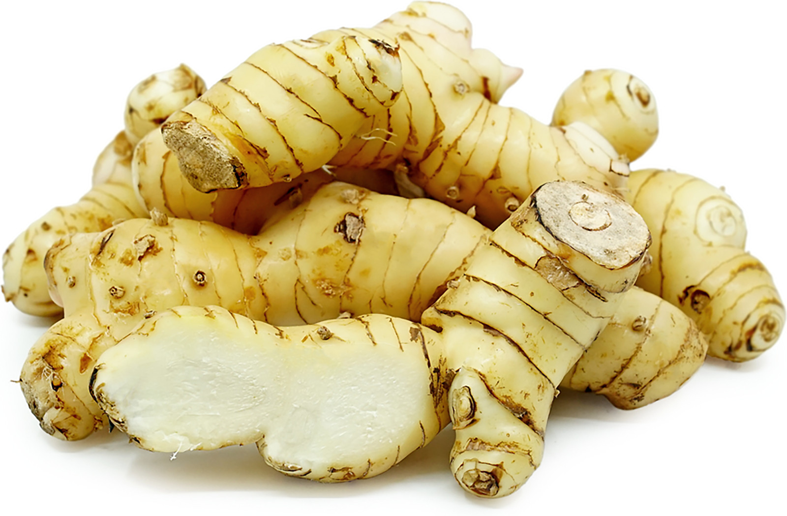 Fresh 10 lbs  Galangal  BEST DEAL  ship from Florida