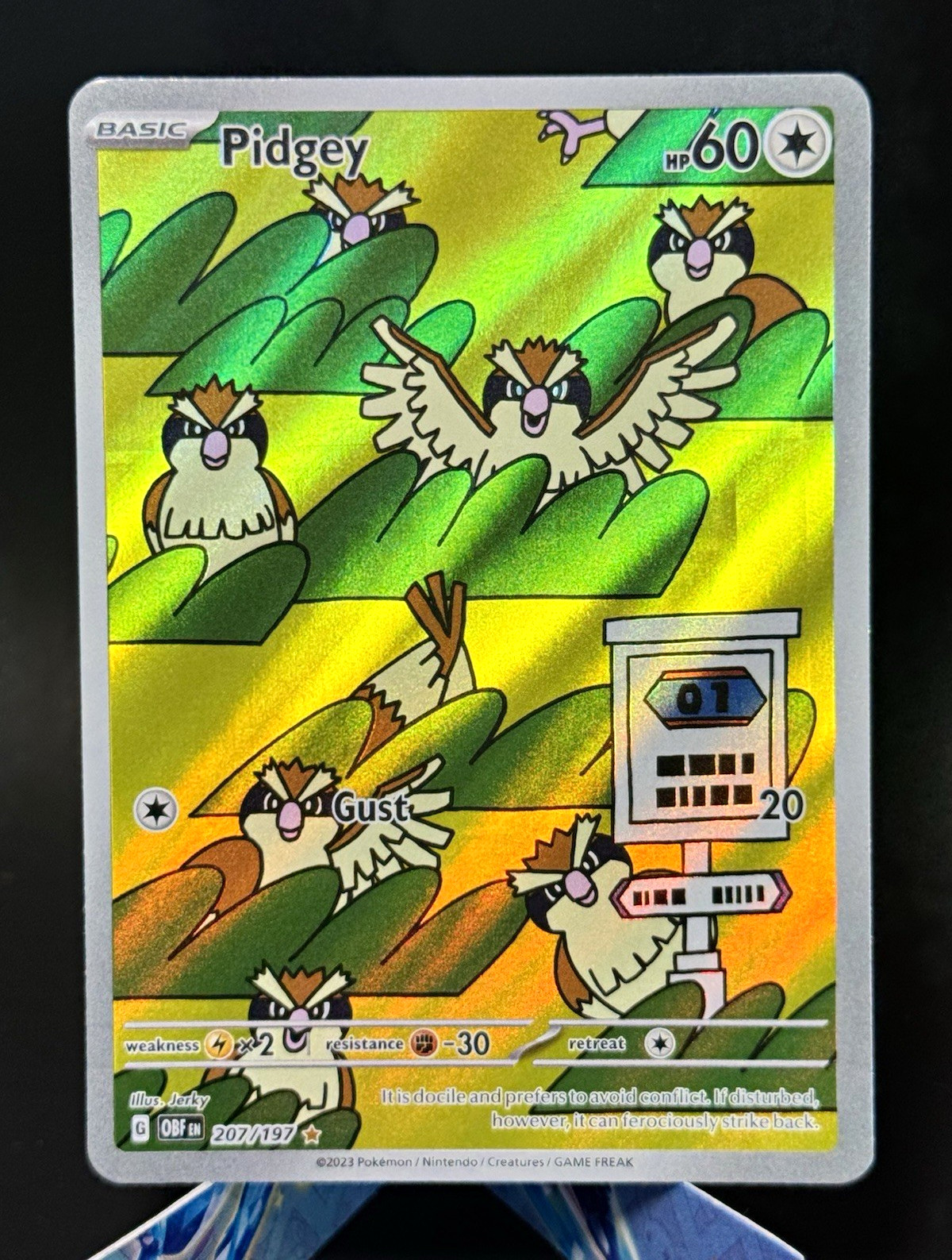 The Pokémon Company Pidgey 207/197 SV03 Obsidian Flames IR Holo EN The Pokémon Company Pidgey 207/197 SV03 Obsidian Flames IR Holo EN