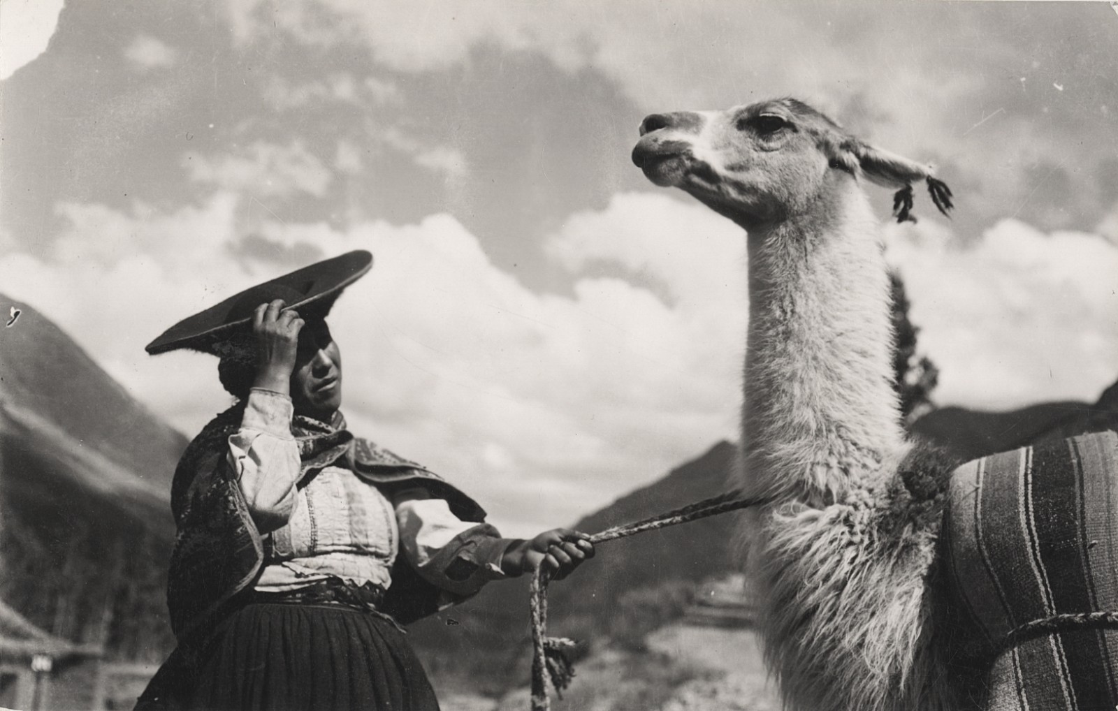 c. 1940's Indigenous Andean Woman with Llama, Peru RPPC by Martin Chambi Jiménez c. 1940's Indigenous Andean Woman with Llama, Peru RPPC by Martin Chambi Jiménez
