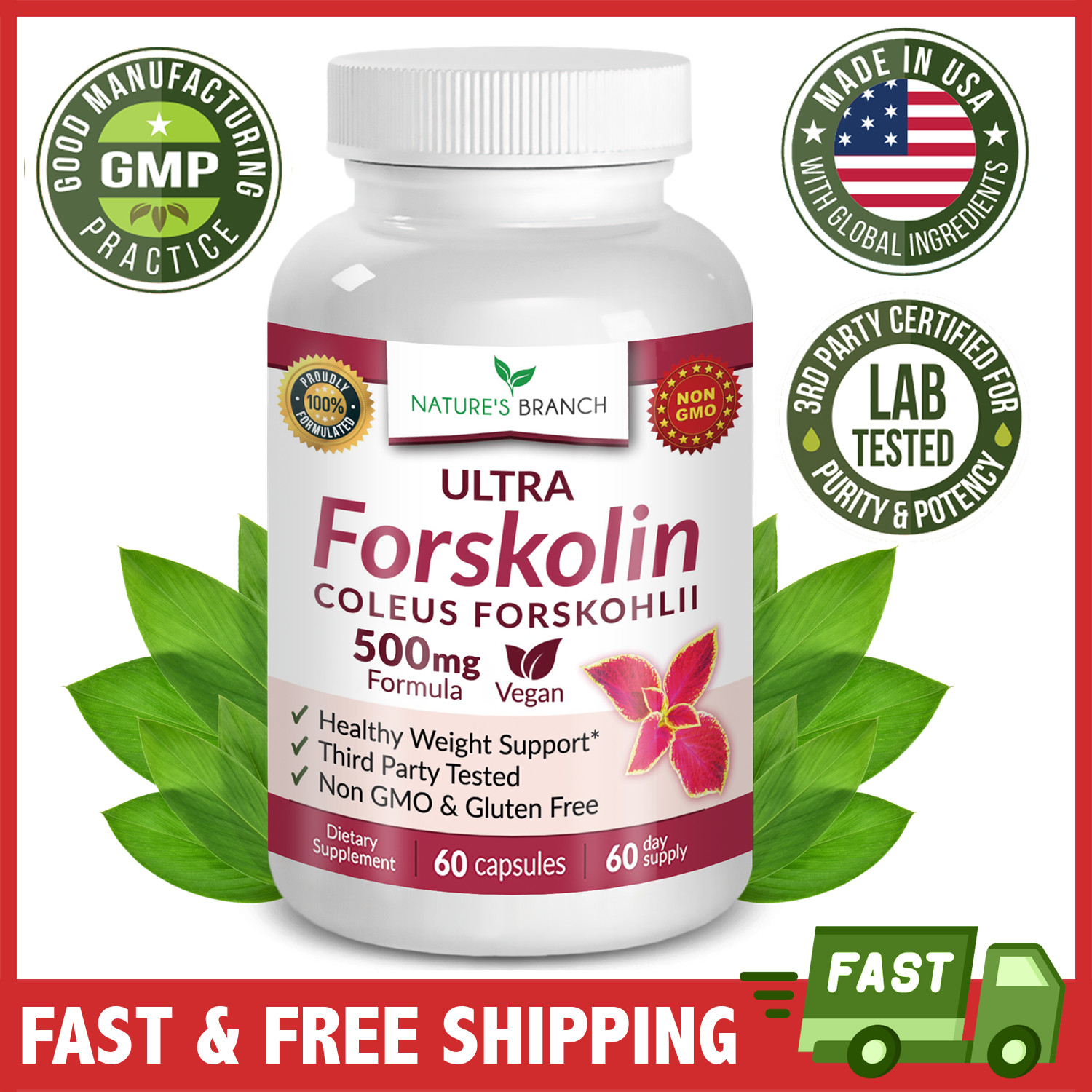 Forskolin Weight Loss 500mg, Coleus Forskohlii Supplements - Maximum Strength