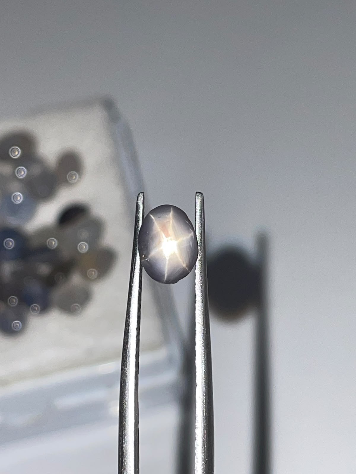 Natural Unheated Sri Lanka Star Sapphire Oval 2.18 Ct 6x8mm Six Ray Star Loose Natural Unheated Sri Lanka Star Sapphire Oval 2.18 Ct 6x8mm Six Ray Star Loose