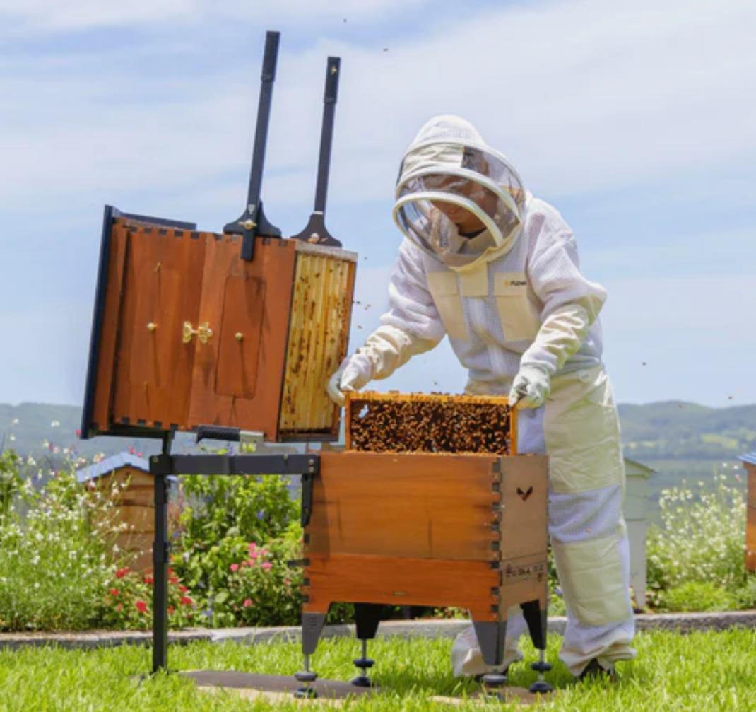 Beehive Super Lifter Lever Box Nest box separator 304 Stainless Steel +Handle Beehive Super Lifter Lever Box Nest box separator 304 Stainless Steel +Handle
