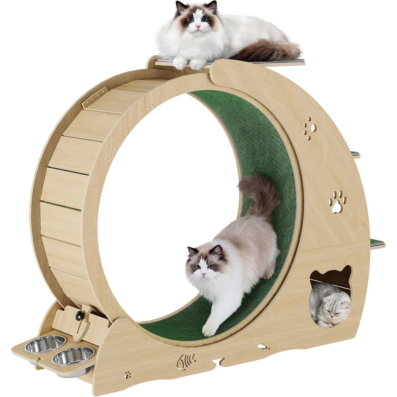 6-in-1 Cat Exercise Wheel for Indoor Cats, Quiet Treadmill with Scratcher Pad