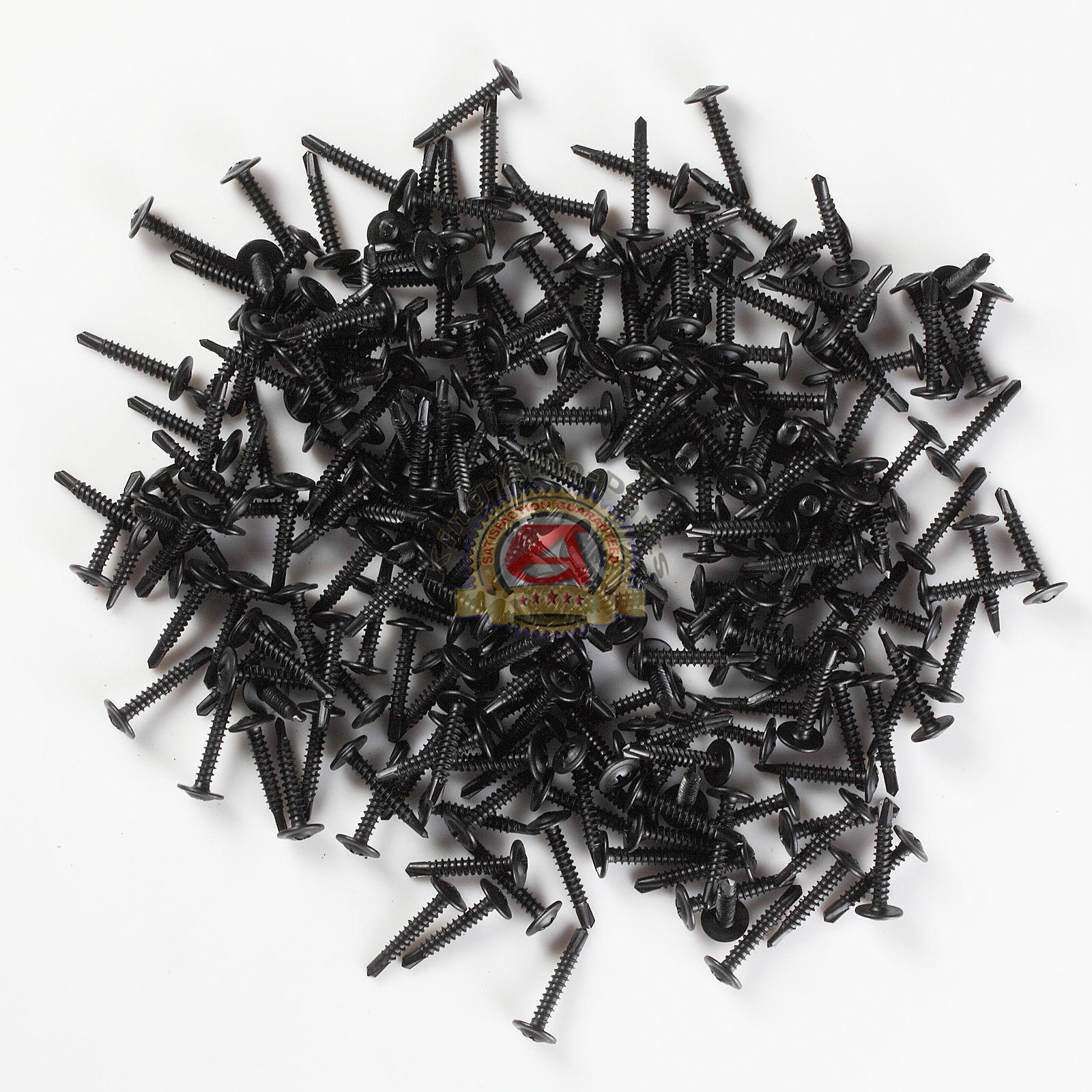Phillips Truss Head Black Sheet Metal Self Tapping Screw 18-8 #8 x 1\'\' Qty 500 Phillips Truss Head Black Sheet Metal Self Tapping Screw 18-8 #8 x 1\'\' Qty 500