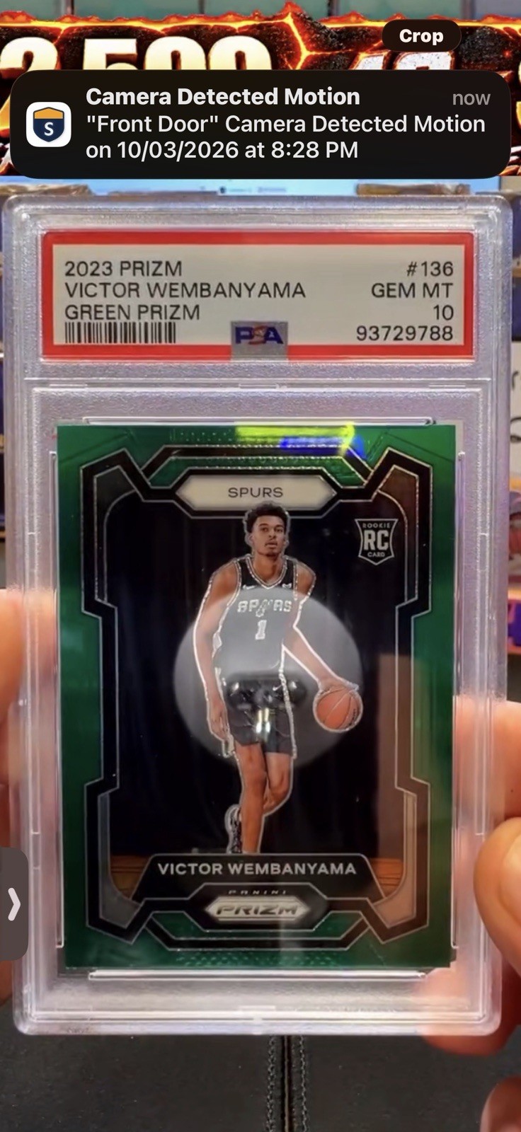 2023-24 Panini Prizm Victor Wembanyama Green Prizm RC #136 PSA 10 GEM MINT 2023-24 Panini Prizm Victor Wembanyama Green Prizm RC #136 PSA 10 GEM MINT
