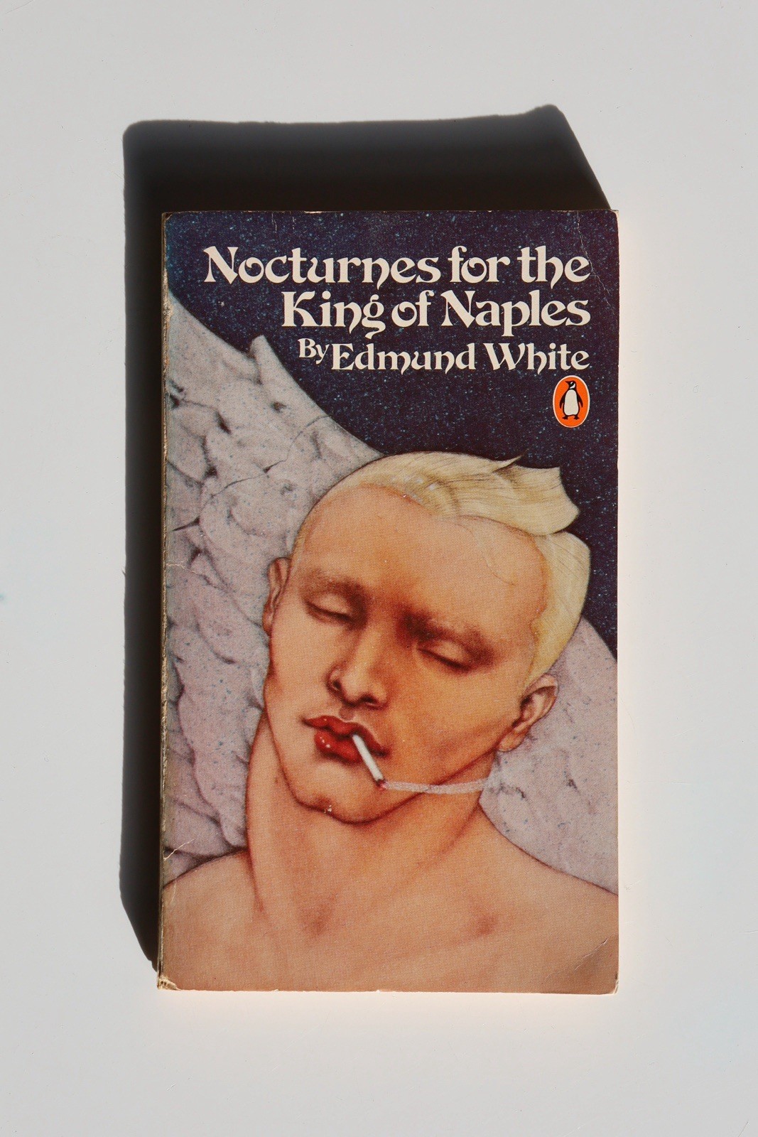 NOCTURNES FOR THE KING OF NAPLES By Edmund White RARE Paperback Queer Literature