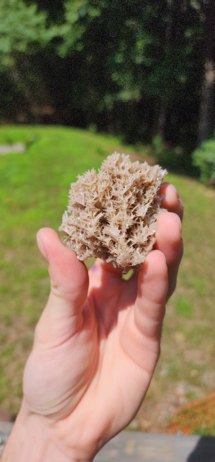Reticulated Cerussite Crystal Cluster, Nakhlak Mine, Iran (Twinned) Reticulated Cerussite Crystal Cluster, Nakhlak Mine, Iran (Twinned)