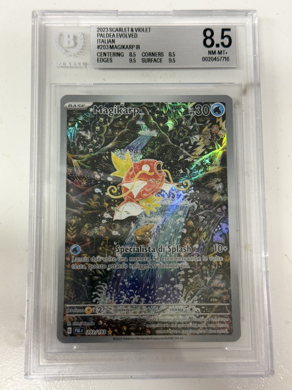 2023 POKEMON MAGIKARP ITA SCARLET E VIOLET PALDEA EVOLVED BECKETT 8.5 MINT 2023 POKEMON MAGIKARP ITA SCARLET E VIOLET PALDEA EVOLVED BECKETT 8.5 MINT