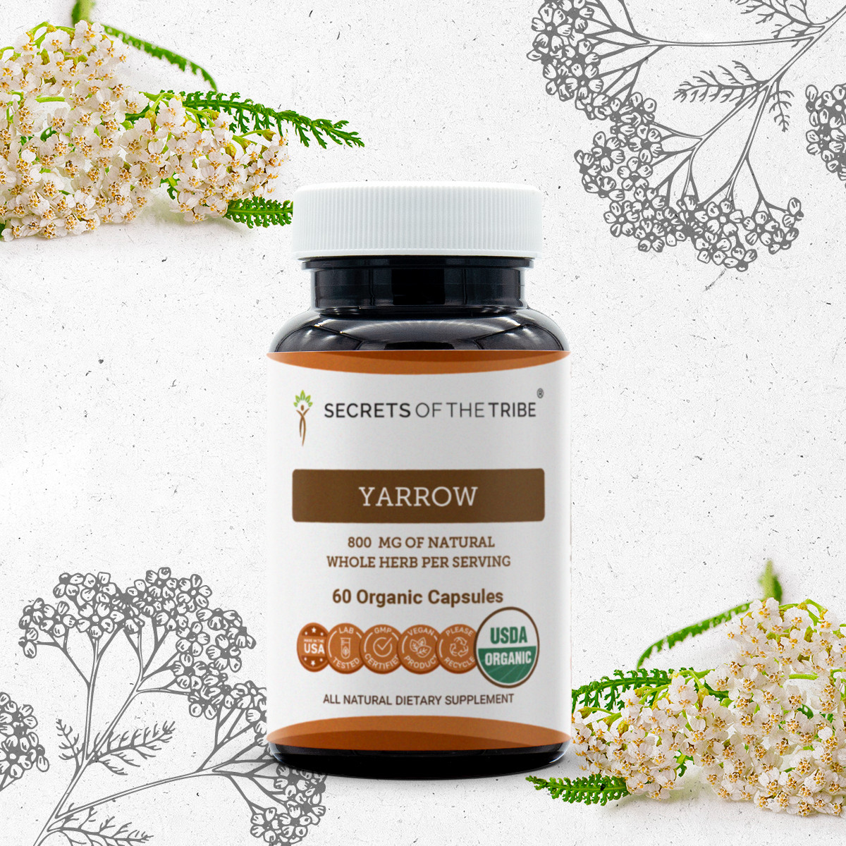 Secrets Of The Tribe Yarrow Capsules,400 mg