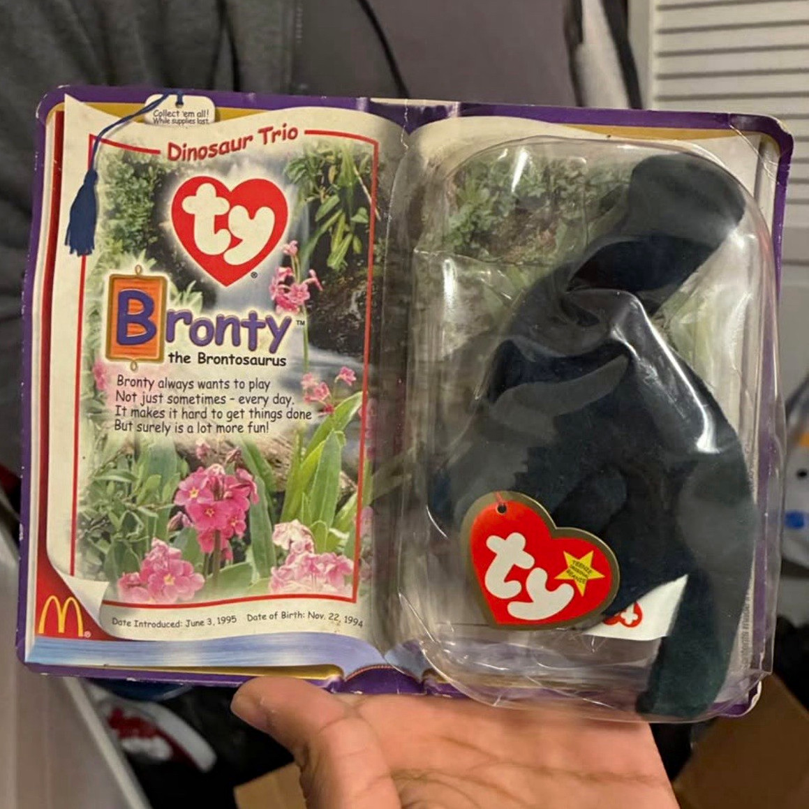 Ty Teenie Beanies 1995 Lot Bronty Steg Rex Peanut Humphrey + Ty Teenie Beanies 1995 Lot Bronty Steg Rex Peanut Humphrey +