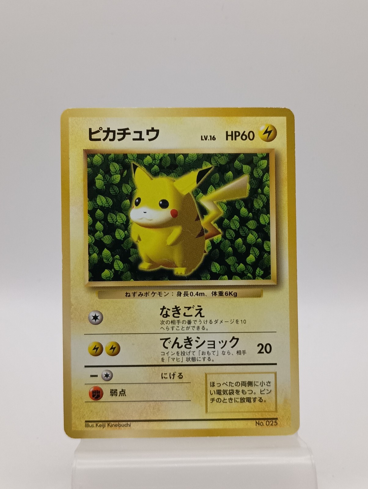 1996 Pokemon Ivy Pikachu No. 025 Non Glossy Keiji Kinebuchi CoroCoro Promo LP 1996 Pokemon Ivy Pikachu No. 025 Non Glossy Keiji Kinebuchi CoroCoro Promo LP