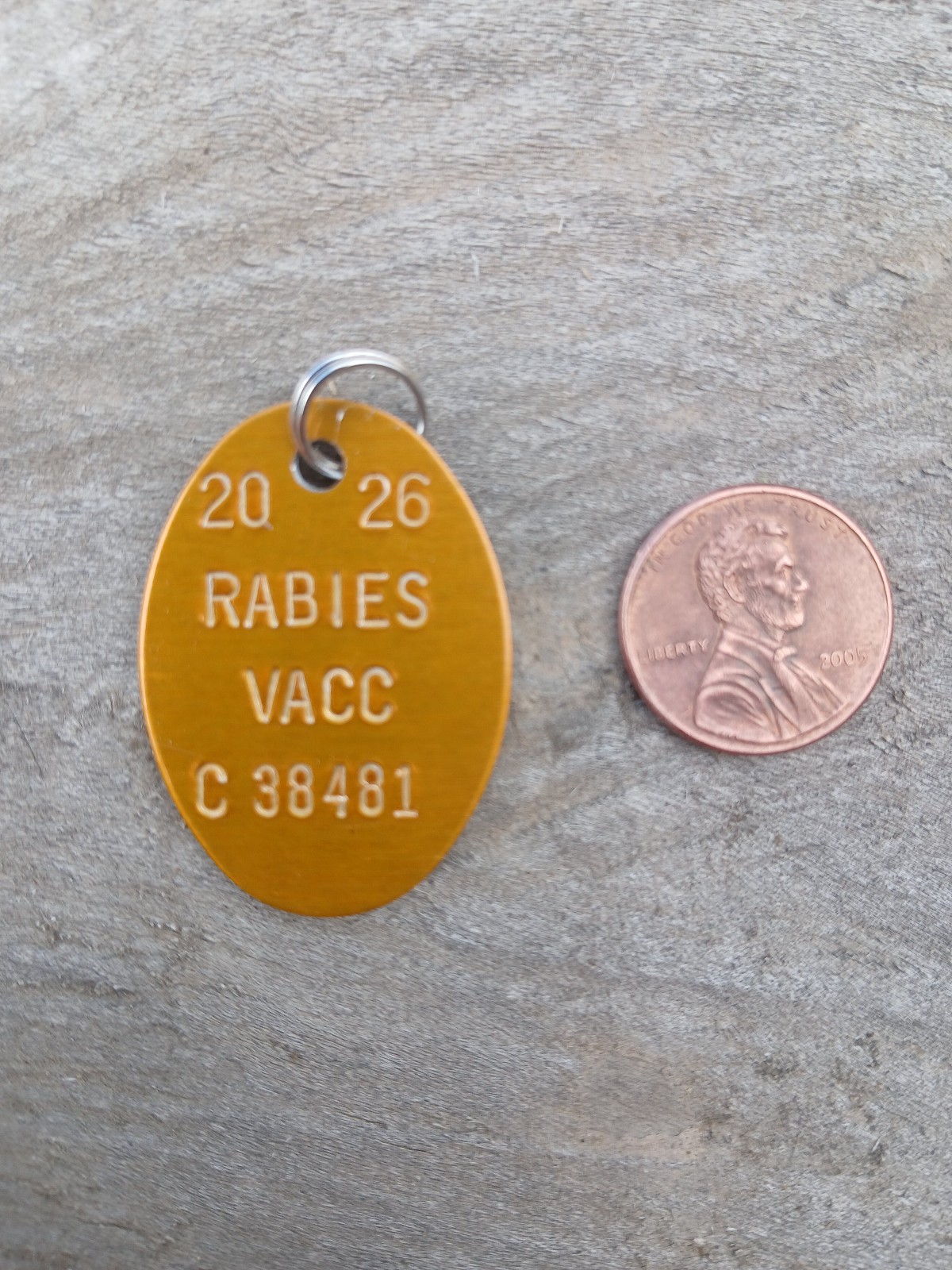 1 Rabies Vaccination Tag (Dog or Cat) with ring - 2026
